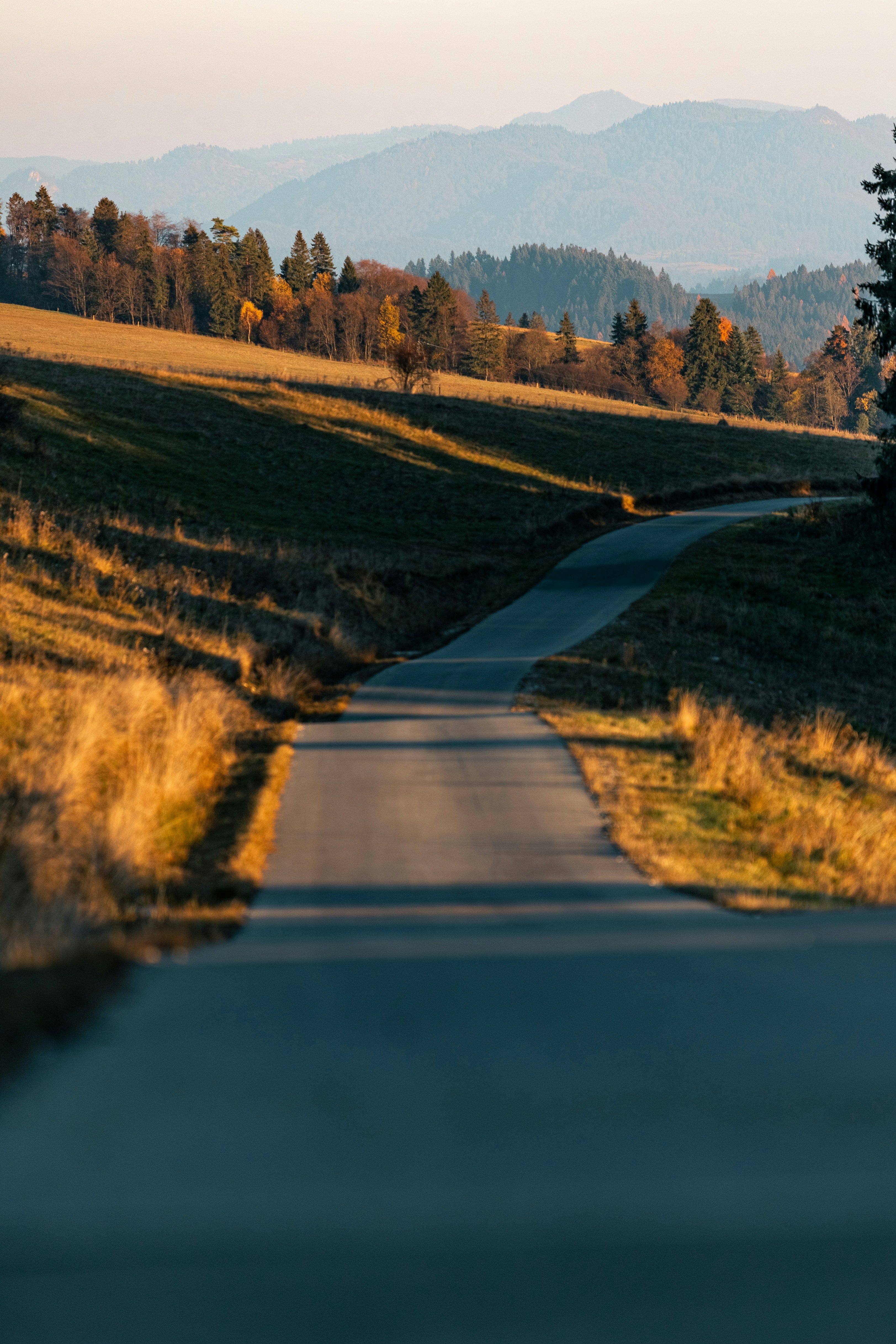 a road in the middle of a field with mountains in the background