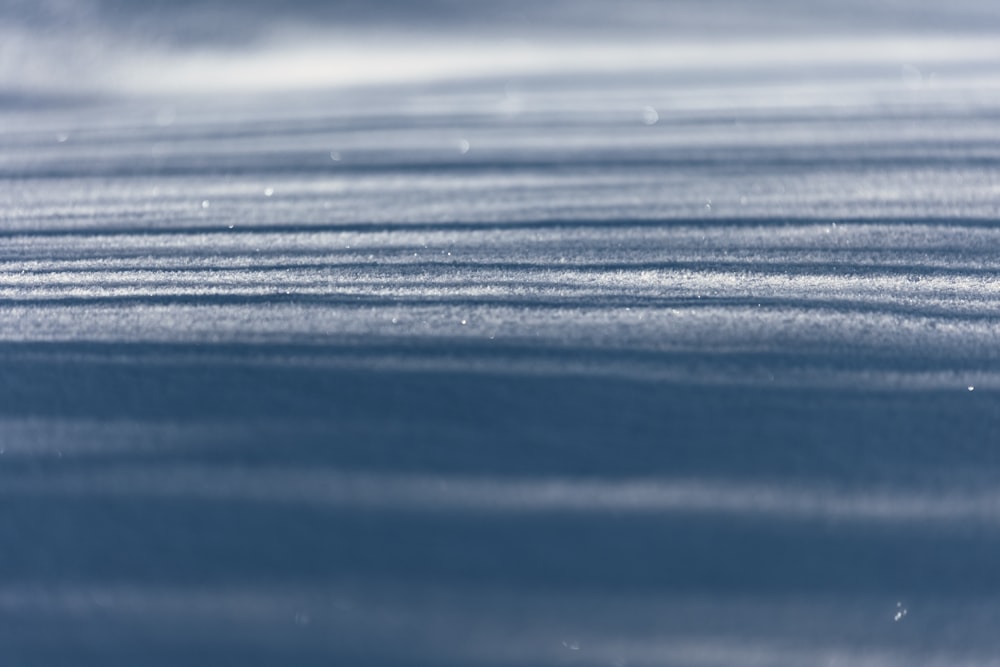 a blurry photo of the surface of a body of water