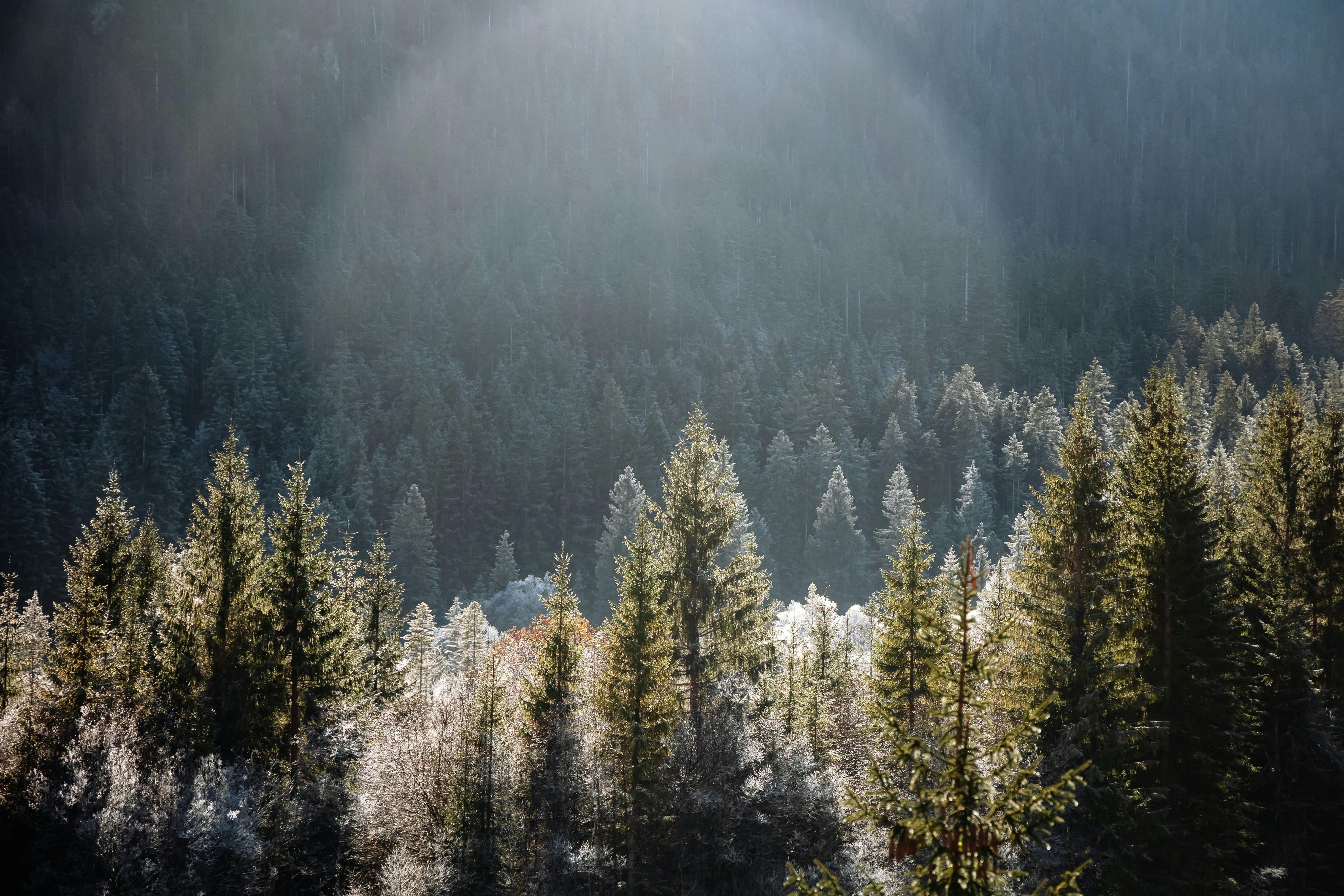 Photo by karokrasinska