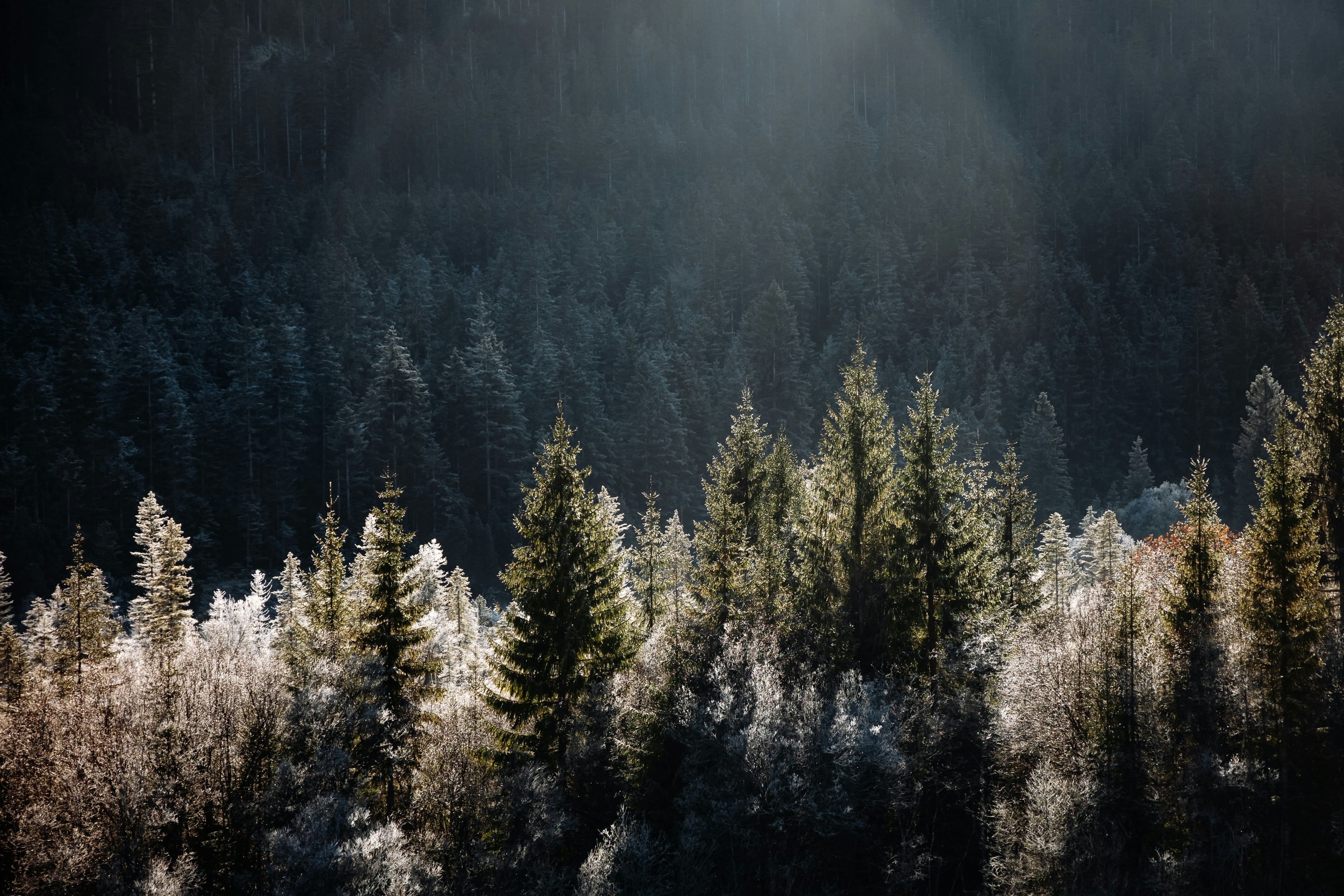 Photo by karokrasinska