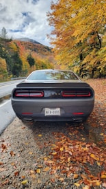 A grey sports car with a Texas license plate is parked on the side of a road, surrounded by fallen autumn leaves. The background reveals a scenic view of a hillside covered with fall foliage in various shades of yellow, orange, and green. Overhead, the sky is partially cloudy.