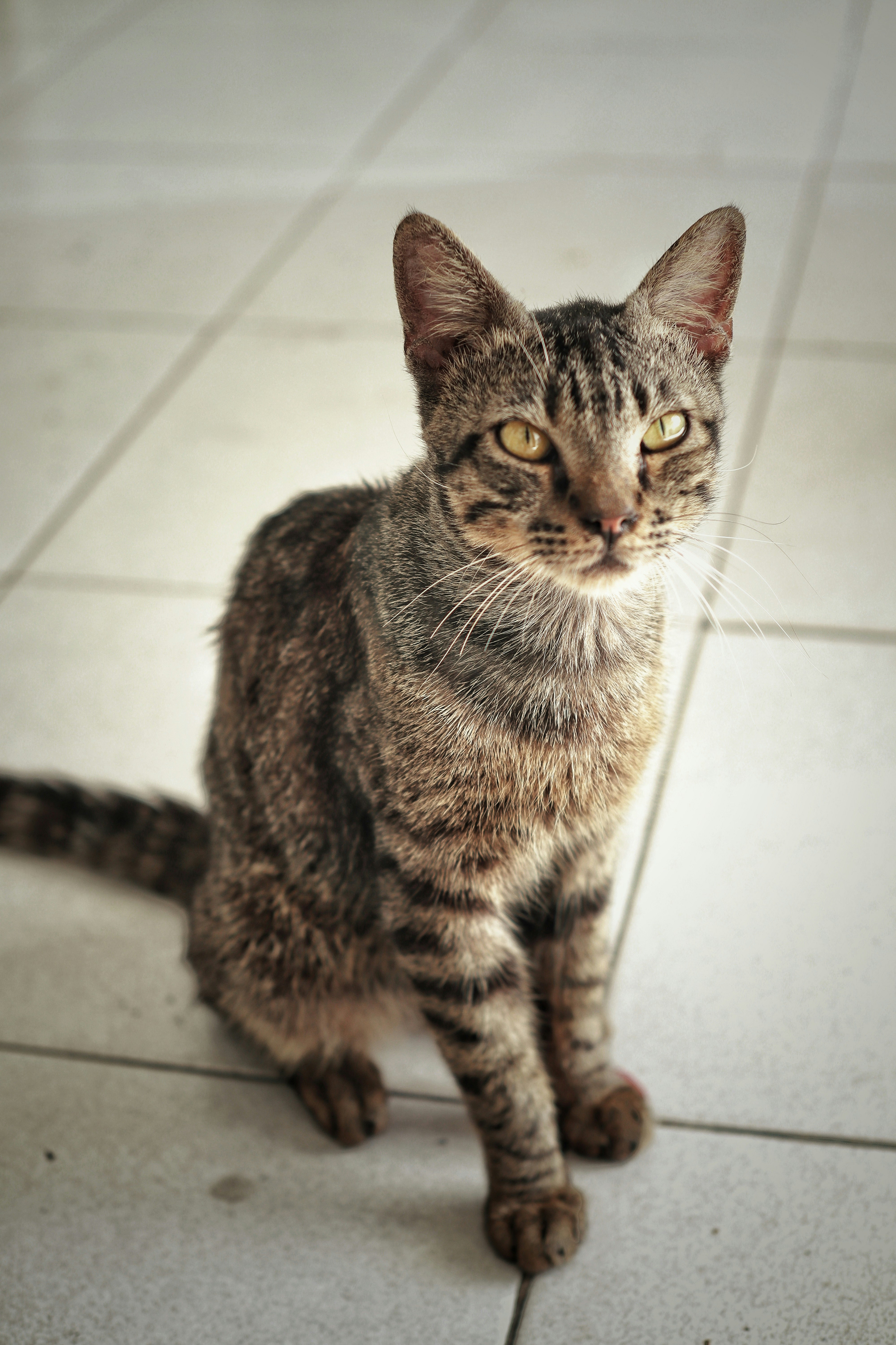 Photo by damianlombu