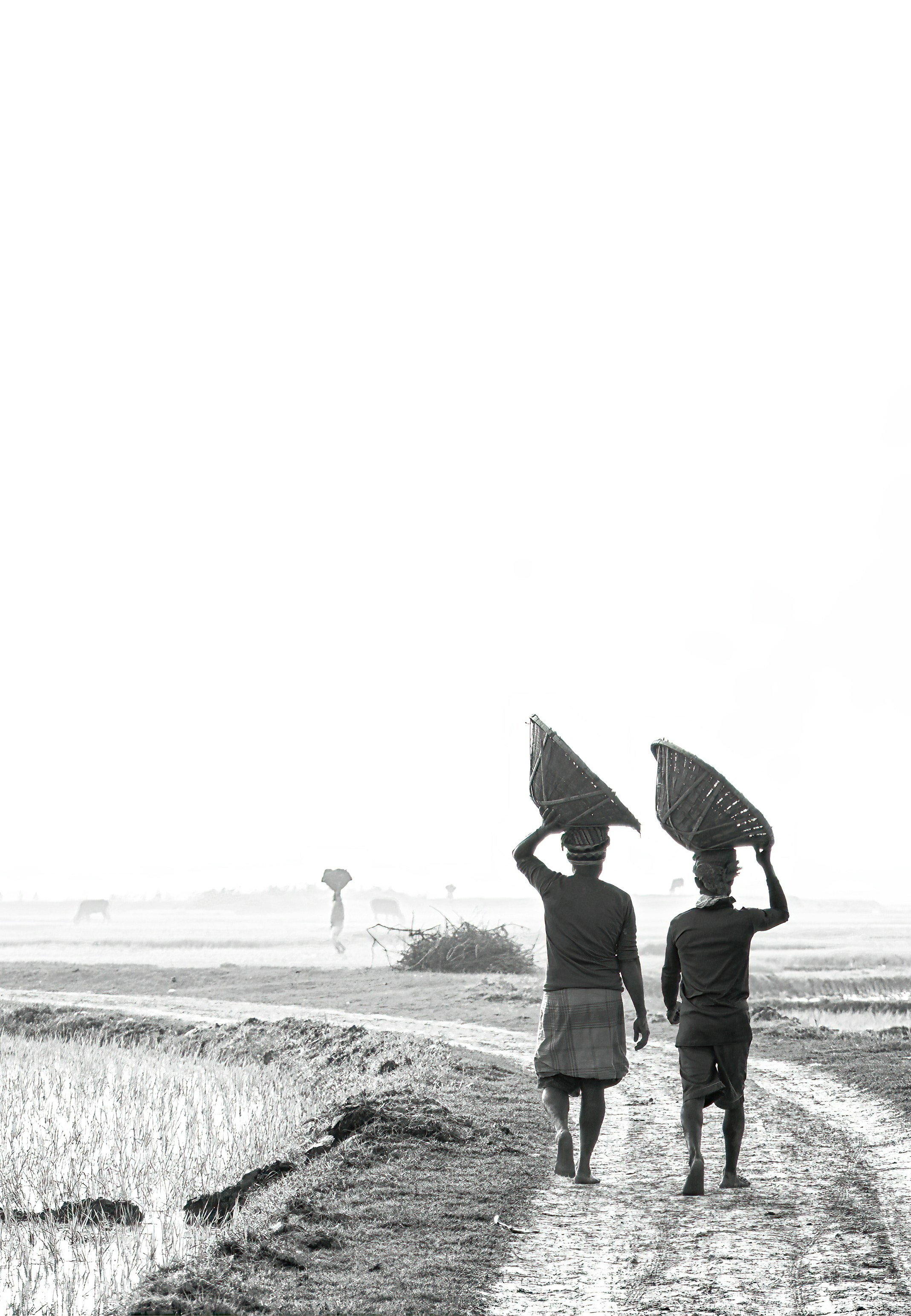Photo by shakib2777