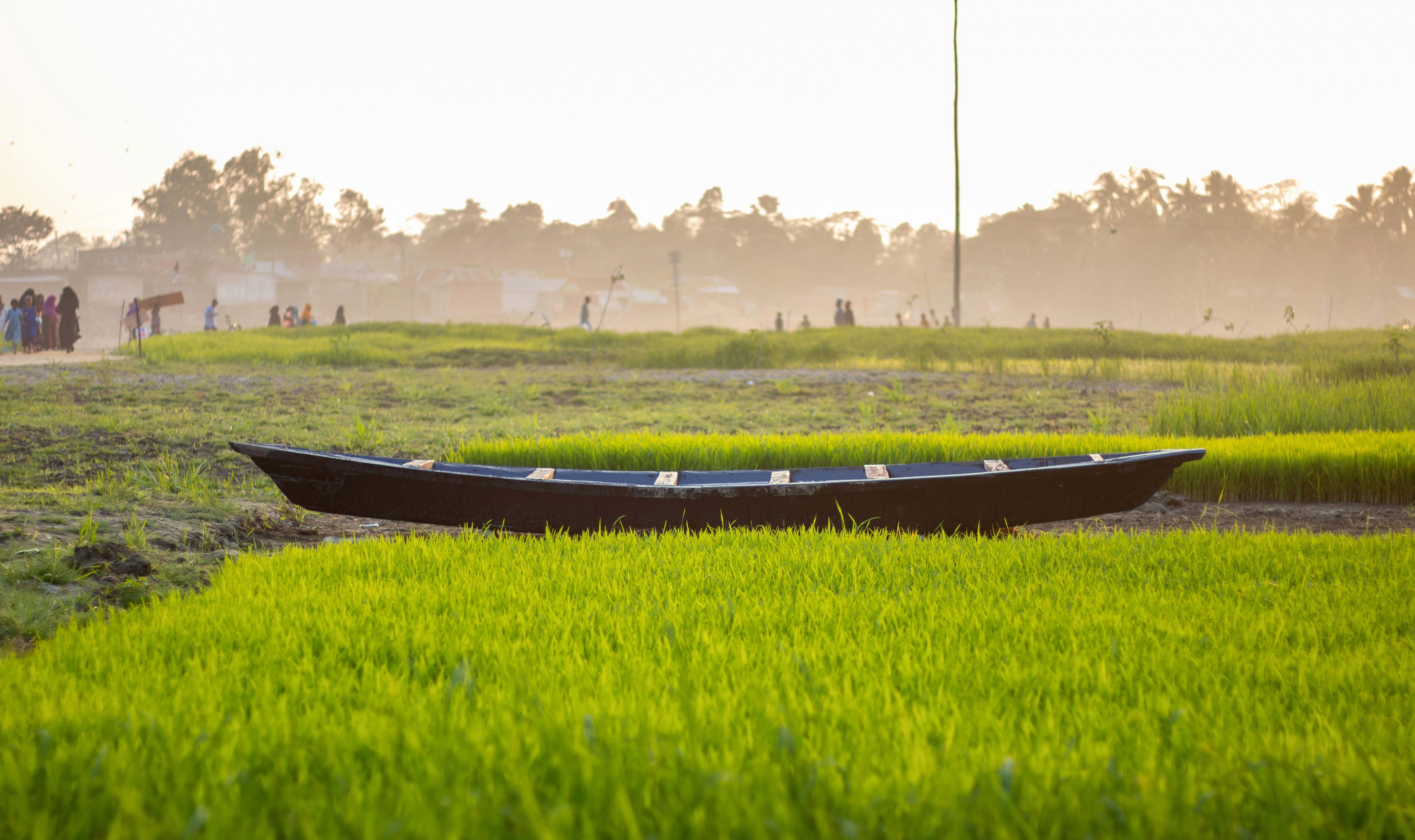 A boat sitting on top of a lush green field photo – Free Field Image on ...