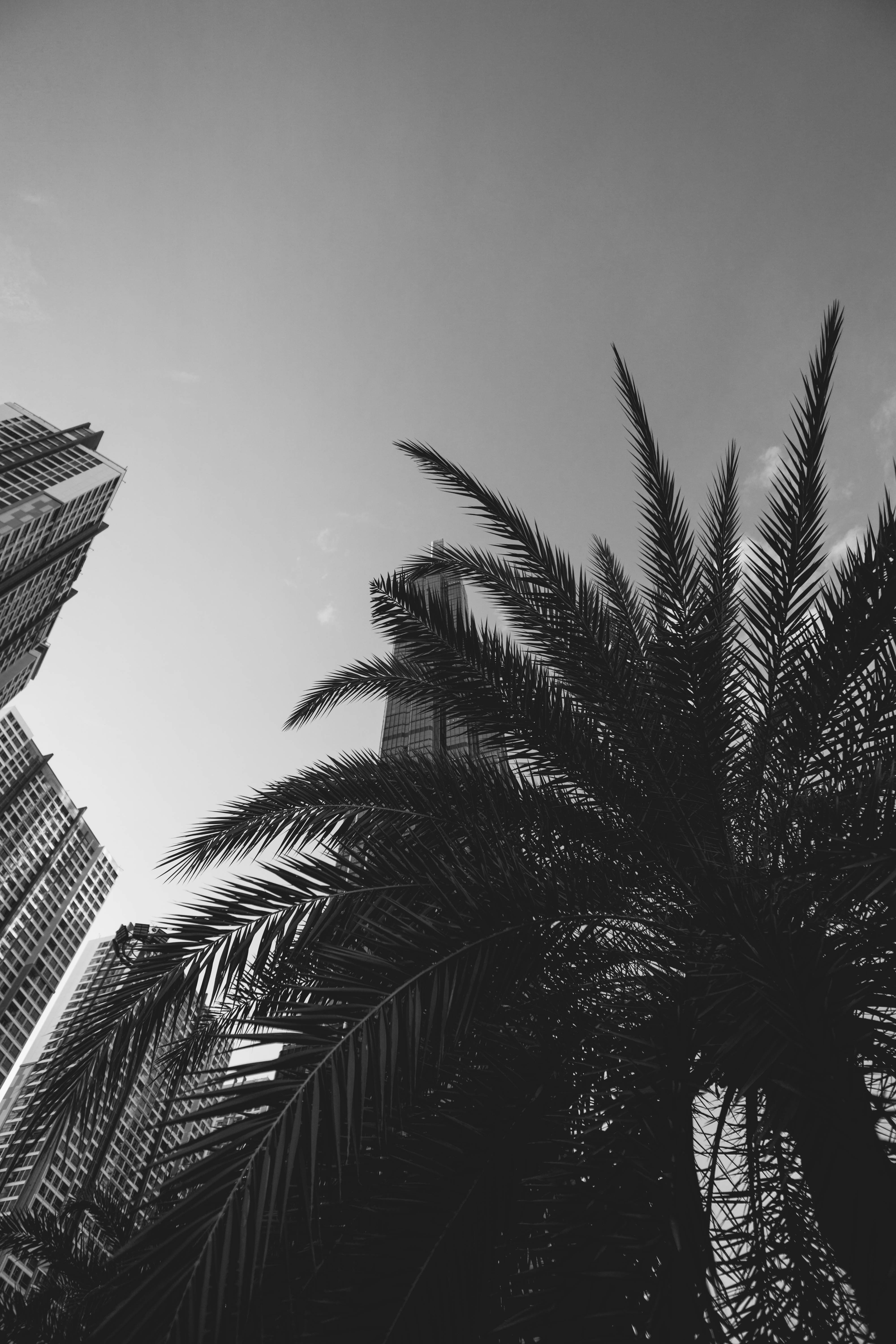 Containers in Thousand Palms, CA