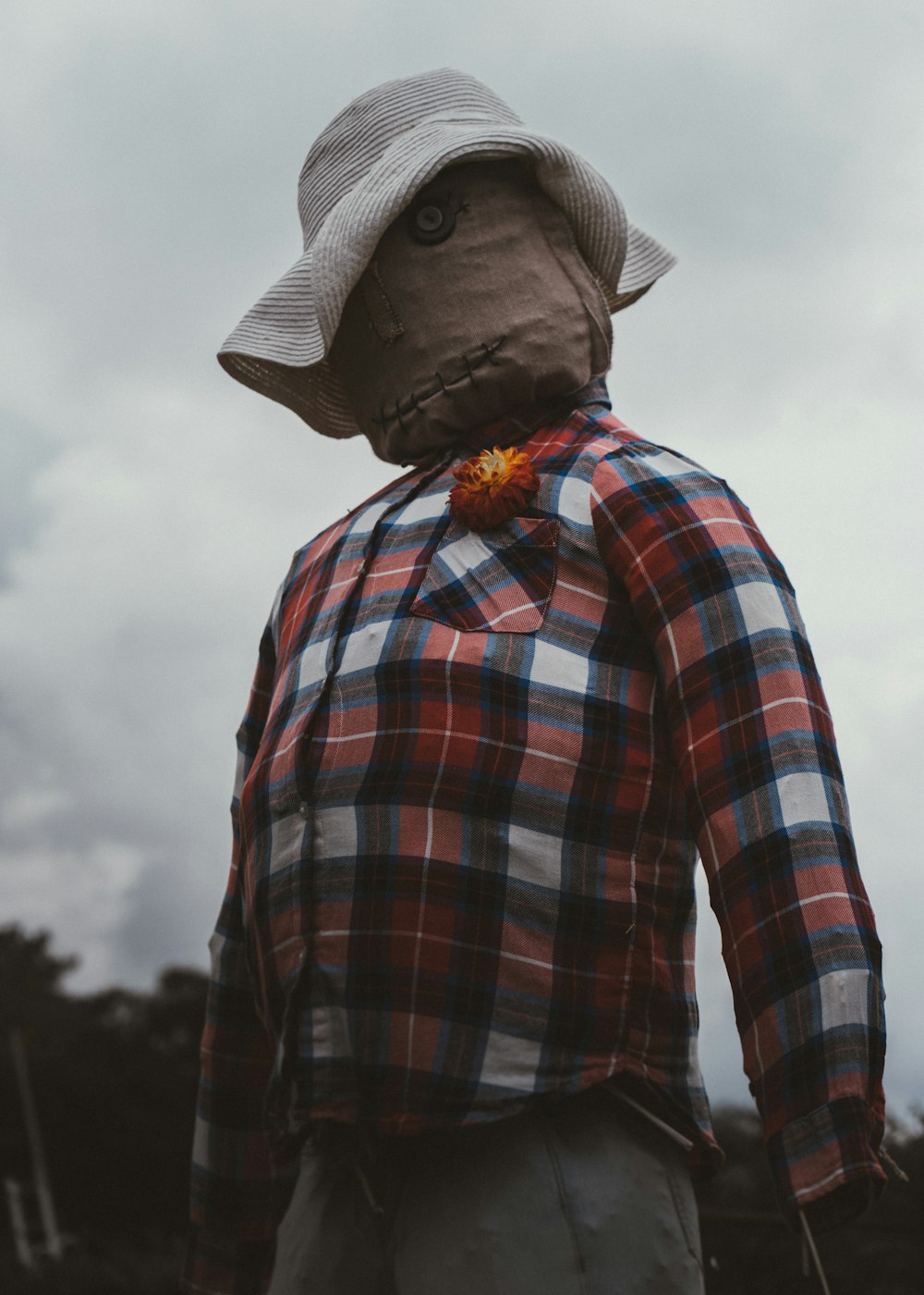 a person wearing a plaid shirt and a hat