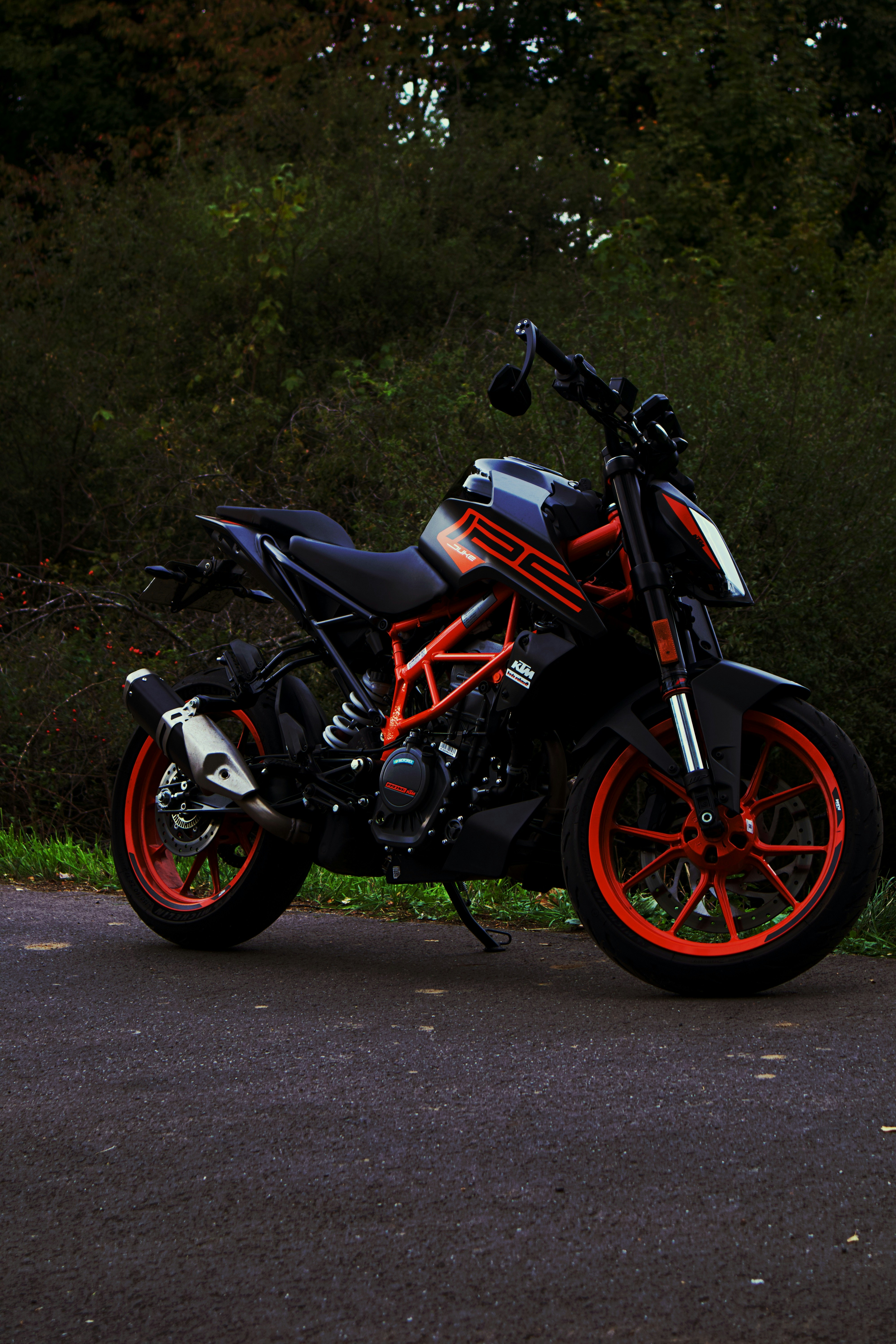 Photo by marlongremminger