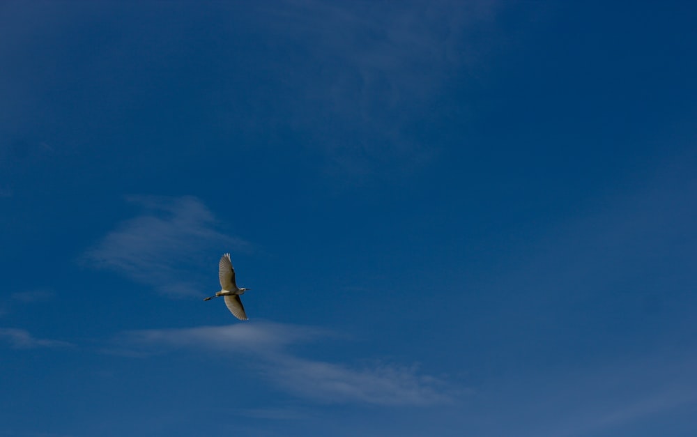 an airplane is flying in the blue sky