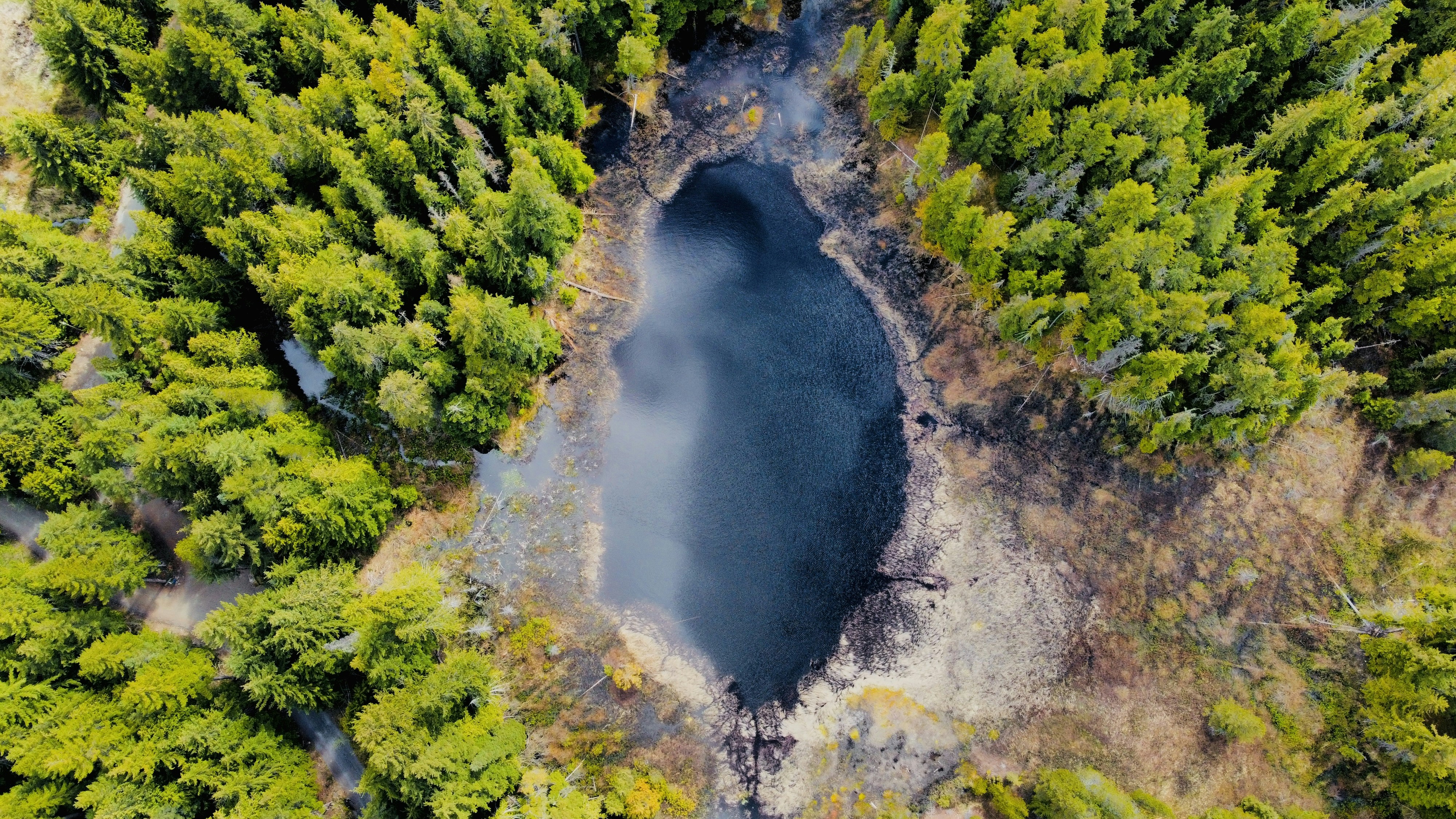 Photo by mehdi_sharif