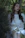 Portrait of a relaxed woman in white linen surrounded by tropical greenery at a luxury Bali spa.