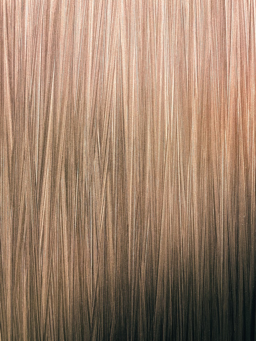 a close up view of a brown and blonde hair