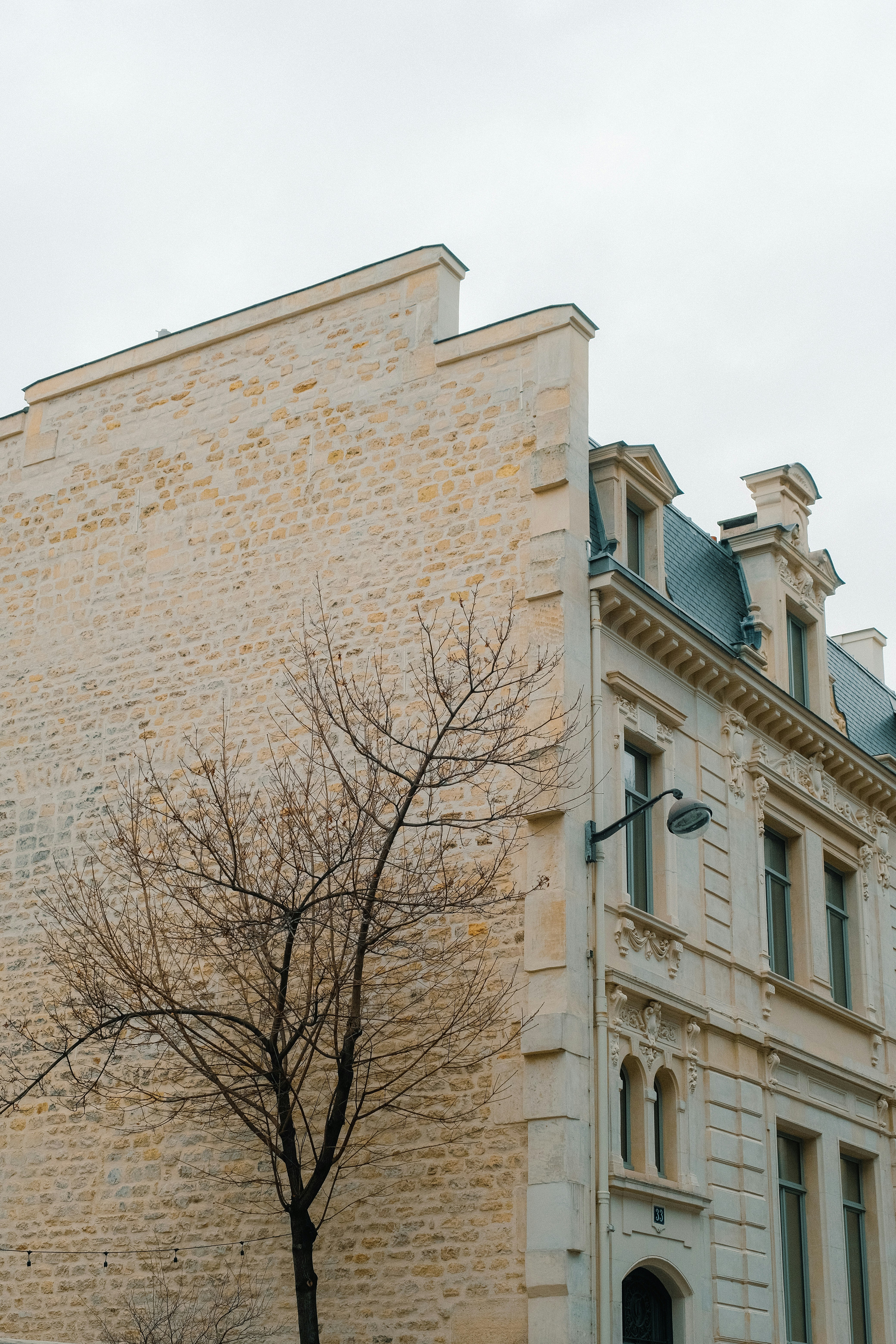 a tree with no leaves in front of a building