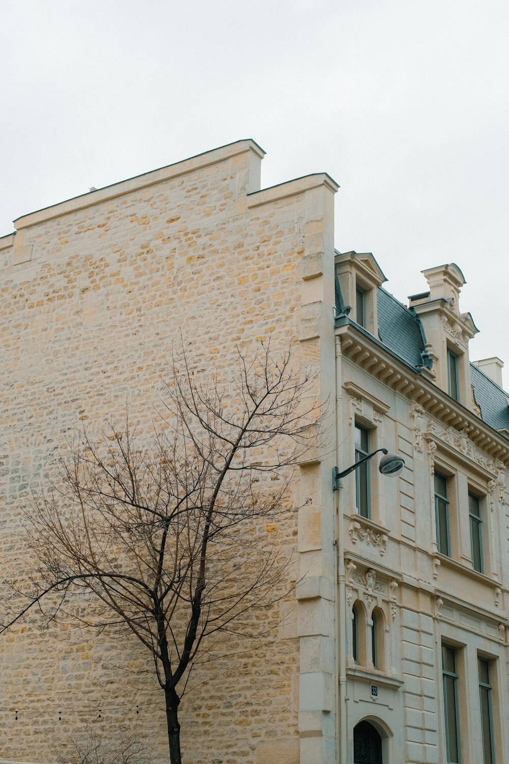 a tree with no leaves in front of a building