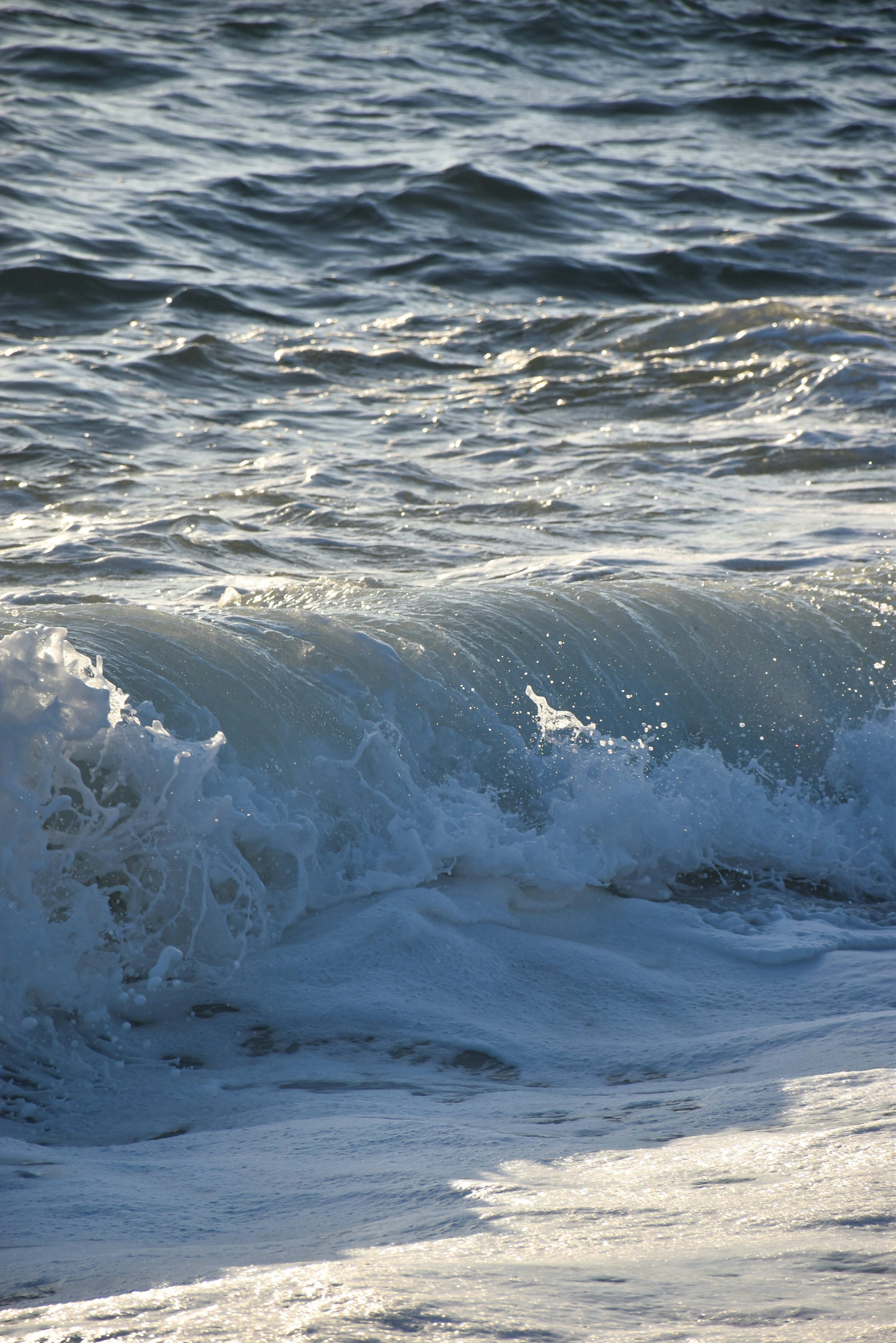 Photo by anastasiakopp