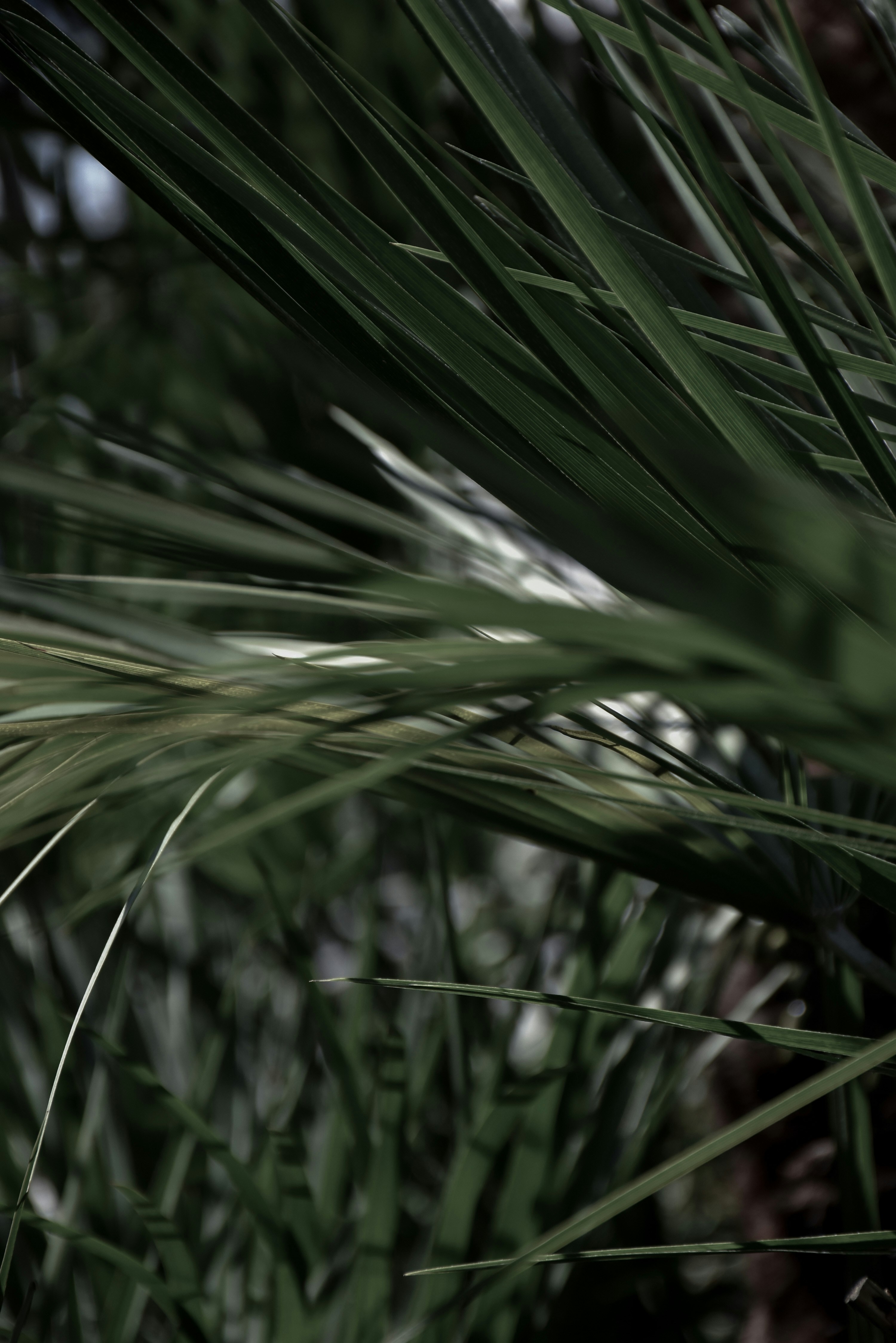 Photo by anastasiakopp