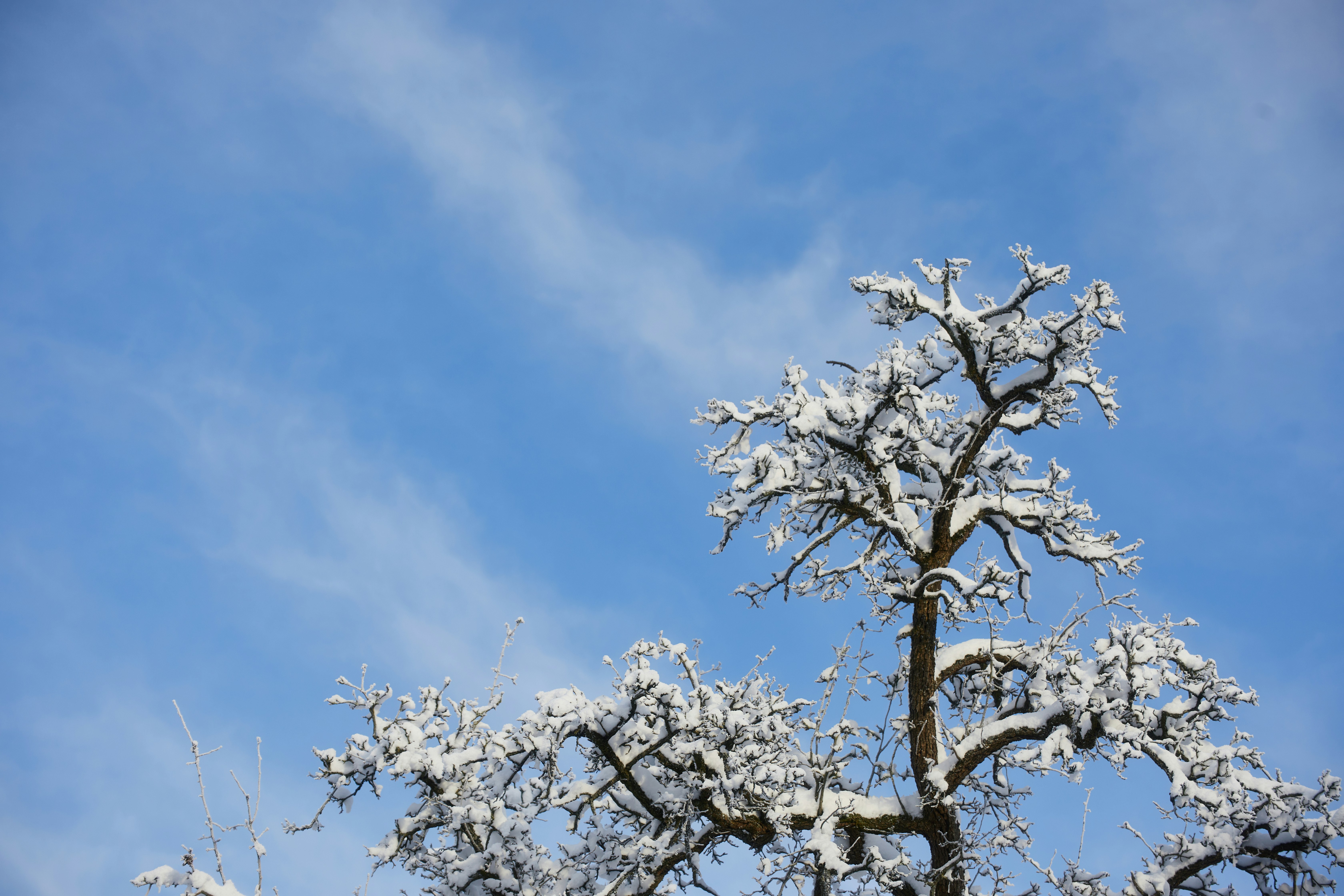 Photo by mirkofabian