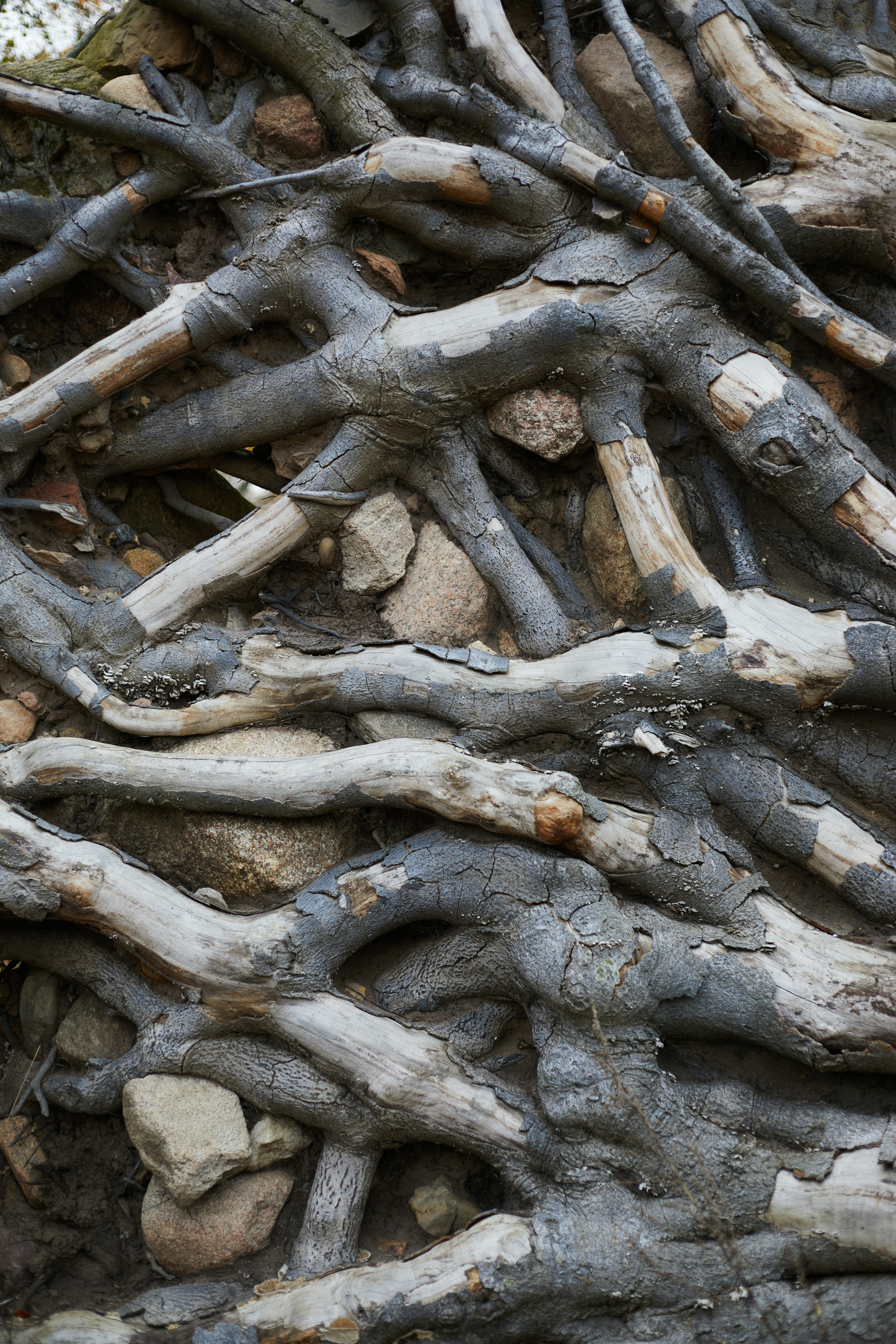 Photo by mirkofabian