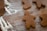 Several gingerbread cookies in the shape of people are placed on a wooden surface, lightly dusted with flour.