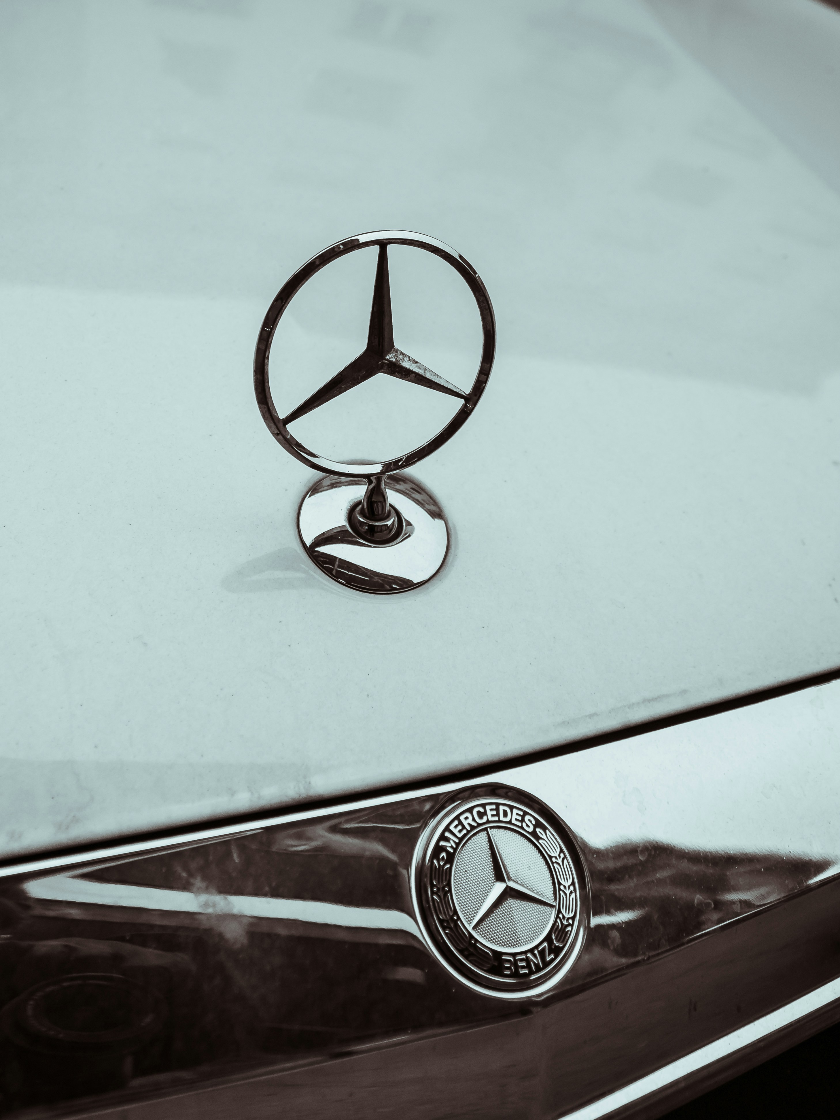 Photo by photosbyedoardo