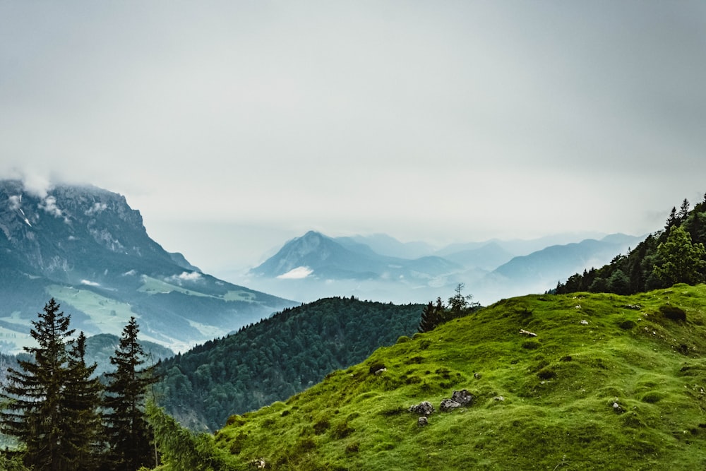 a grassy hill with trees and mountains in the background