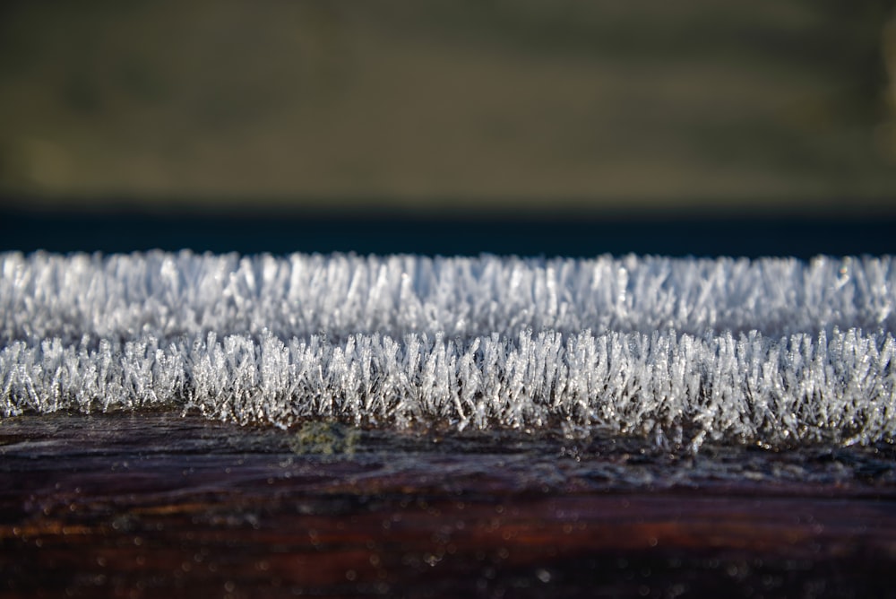 a close up of a brush with snow on it