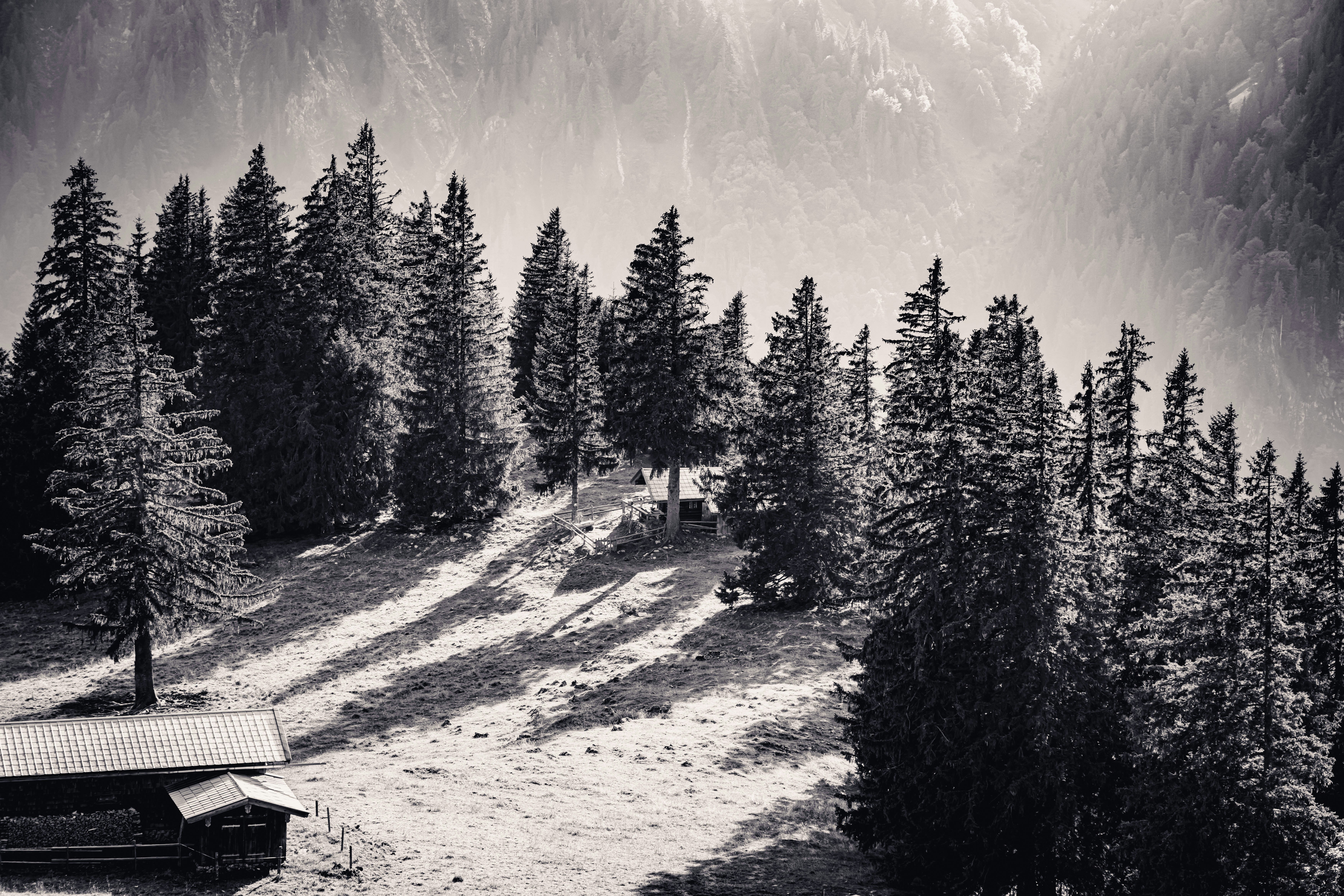 Ein Schwarz-Weiß-Foto einer Hütte in den Bergen