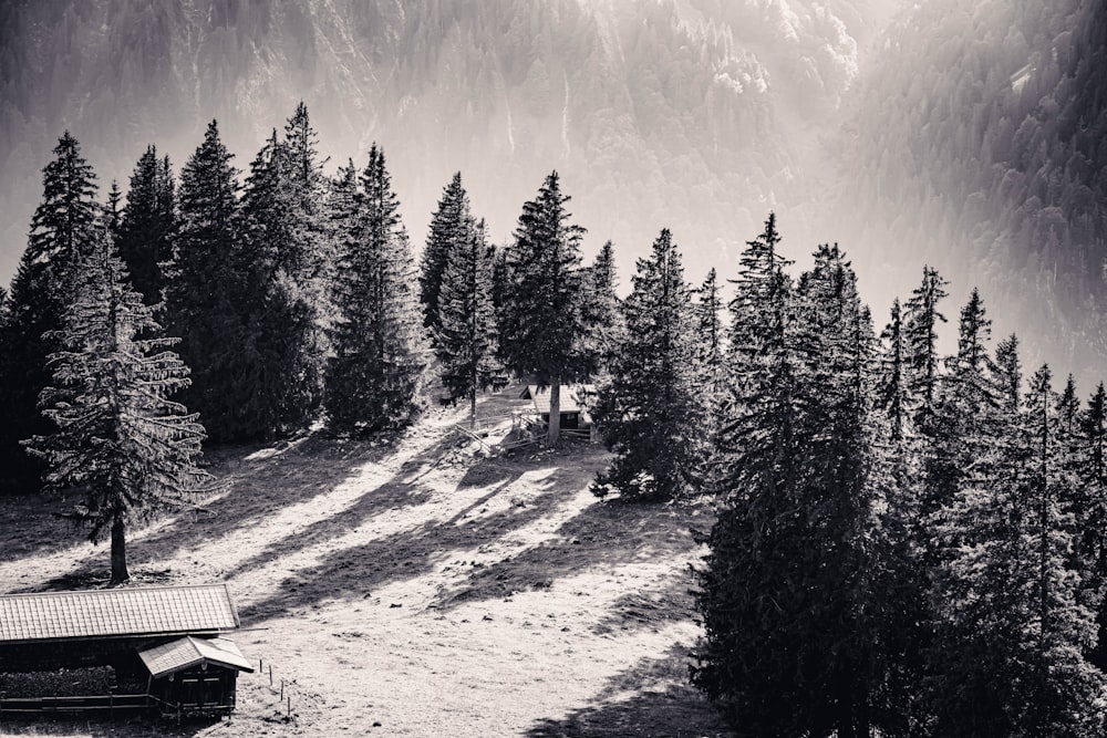 a black and white photo of a cabin in the mountains