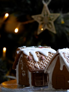 a close up of a plate of food near a christmas tree