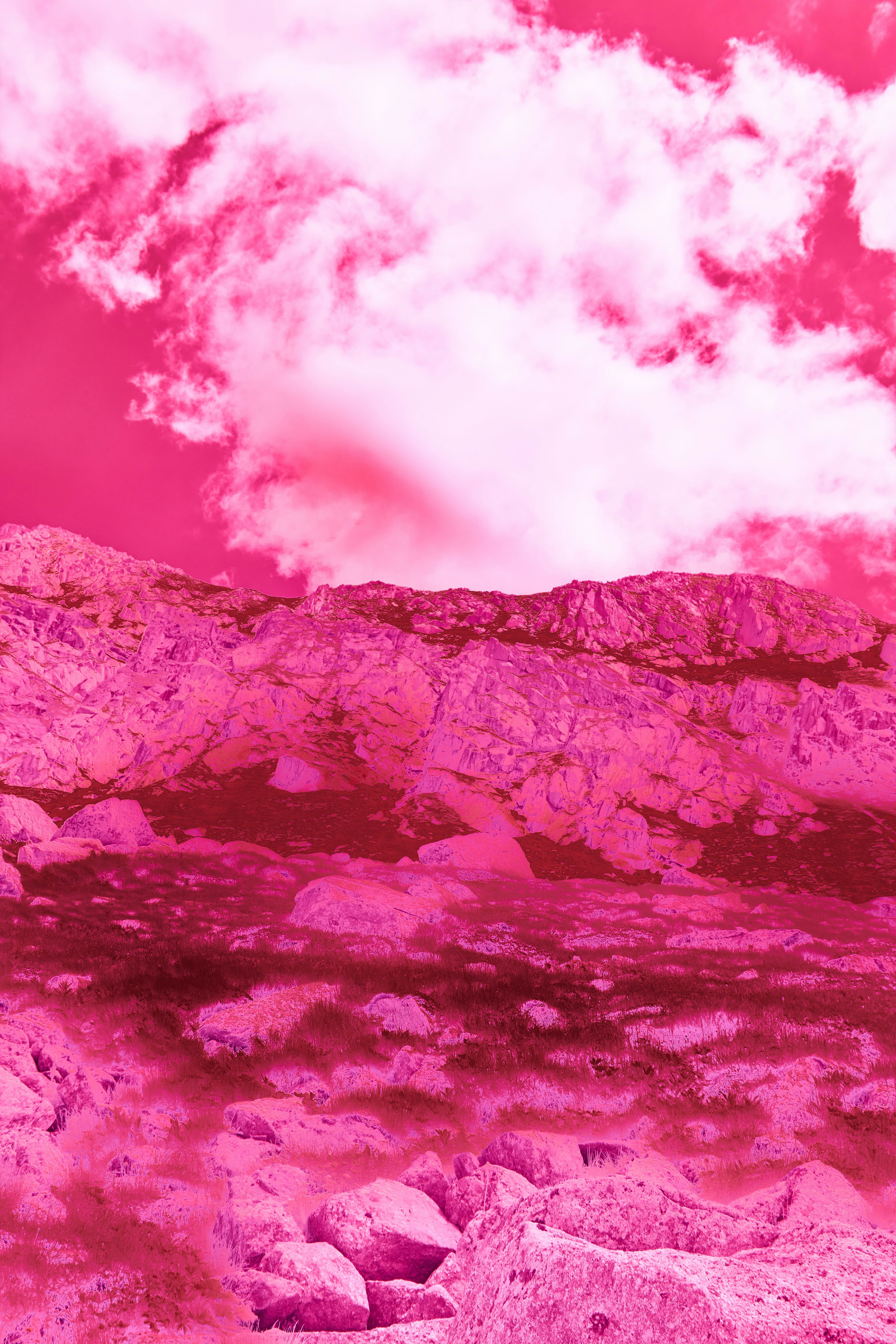 Photo by wolfgang_hasselmann