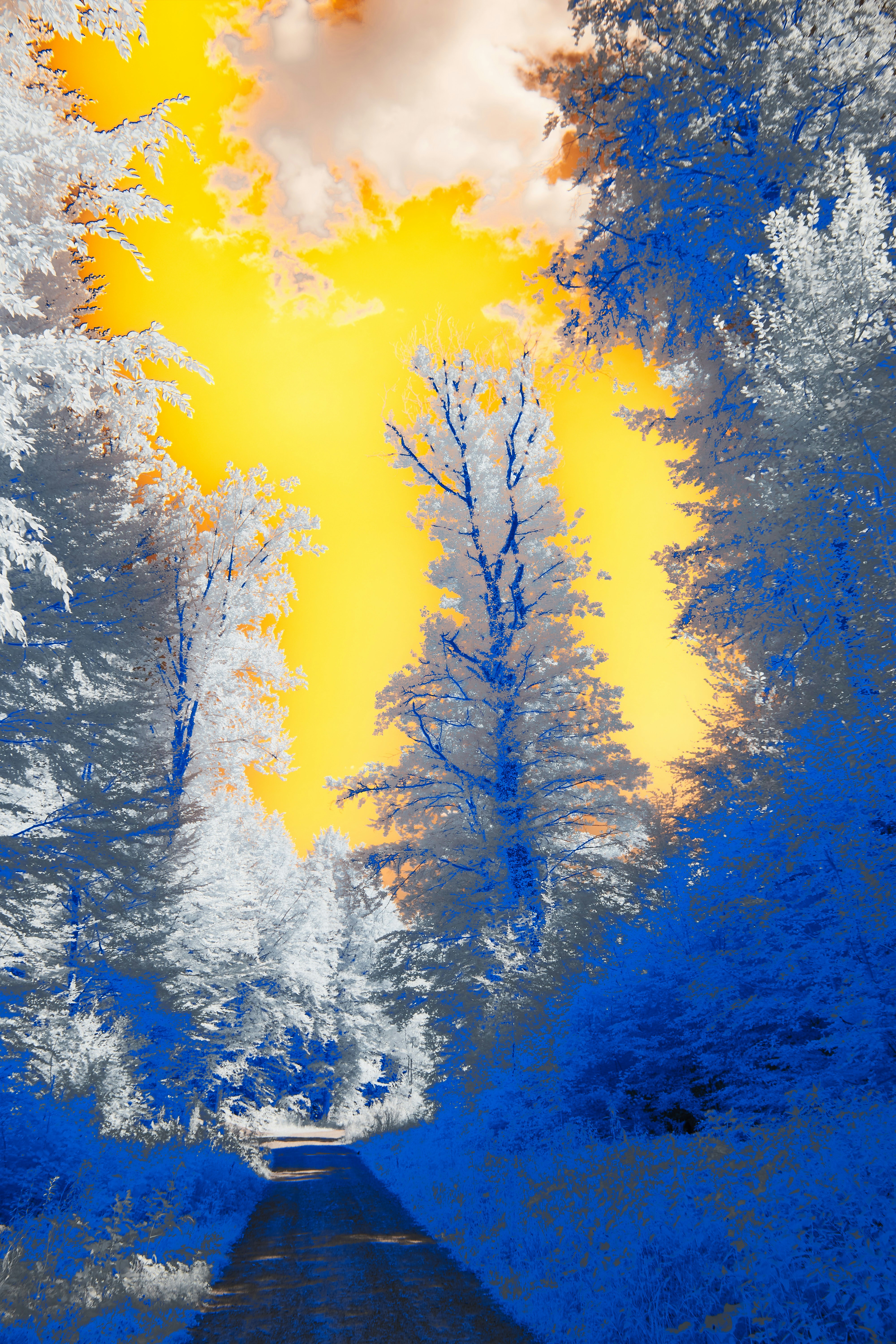 Photo by wolfgang_hasselmann