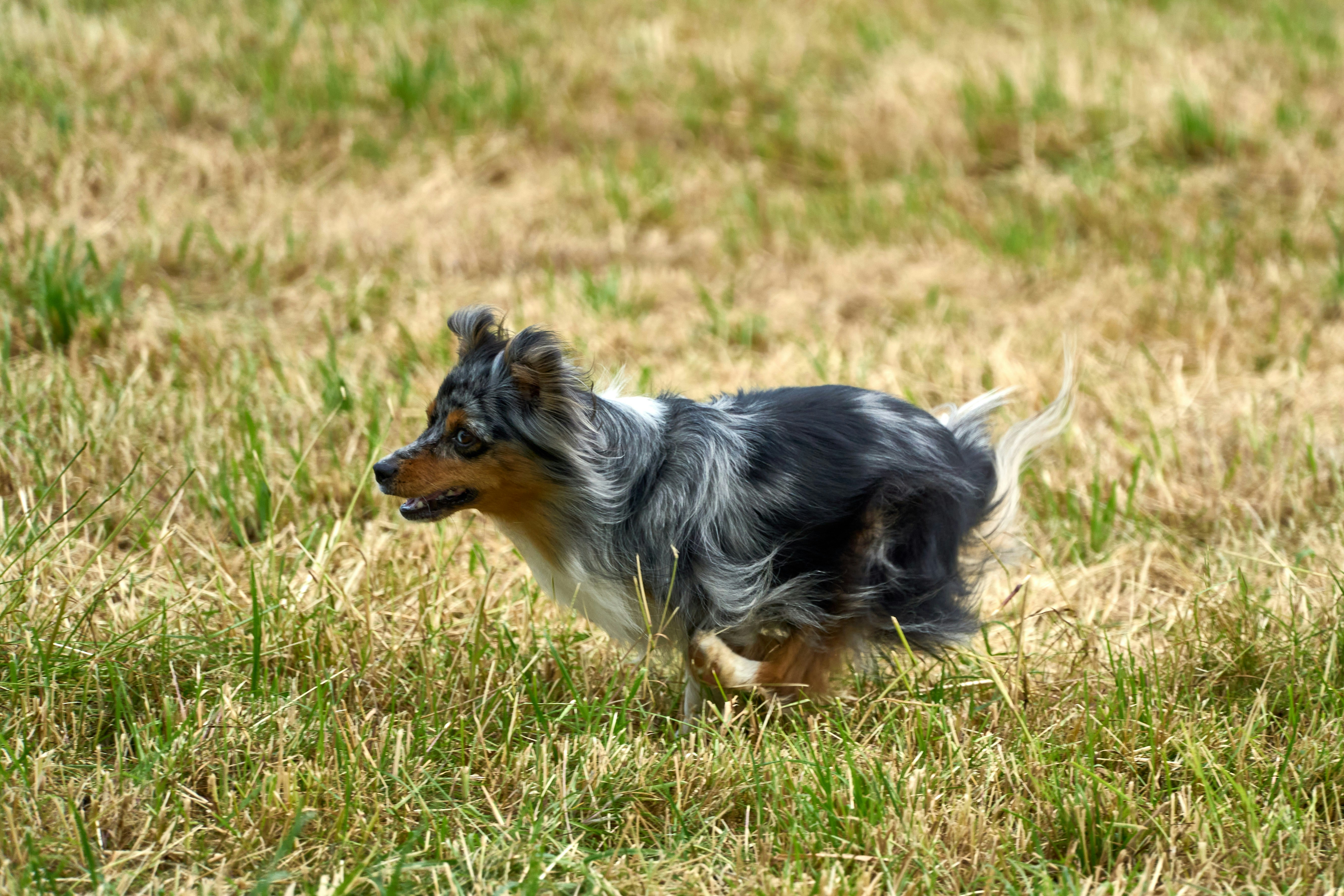 Photo by wolfgang_hasselmann