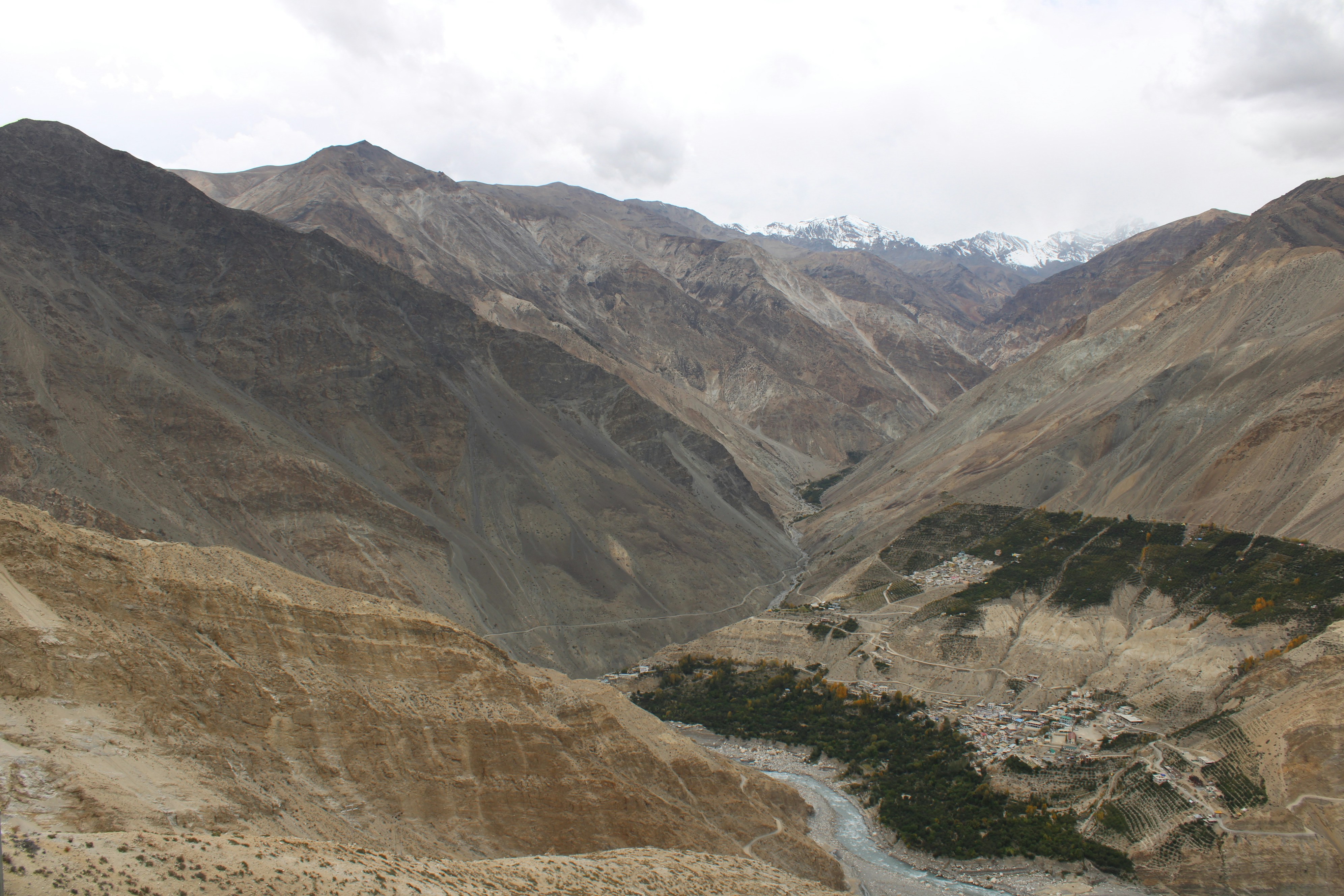 Photo by celestial_medicine