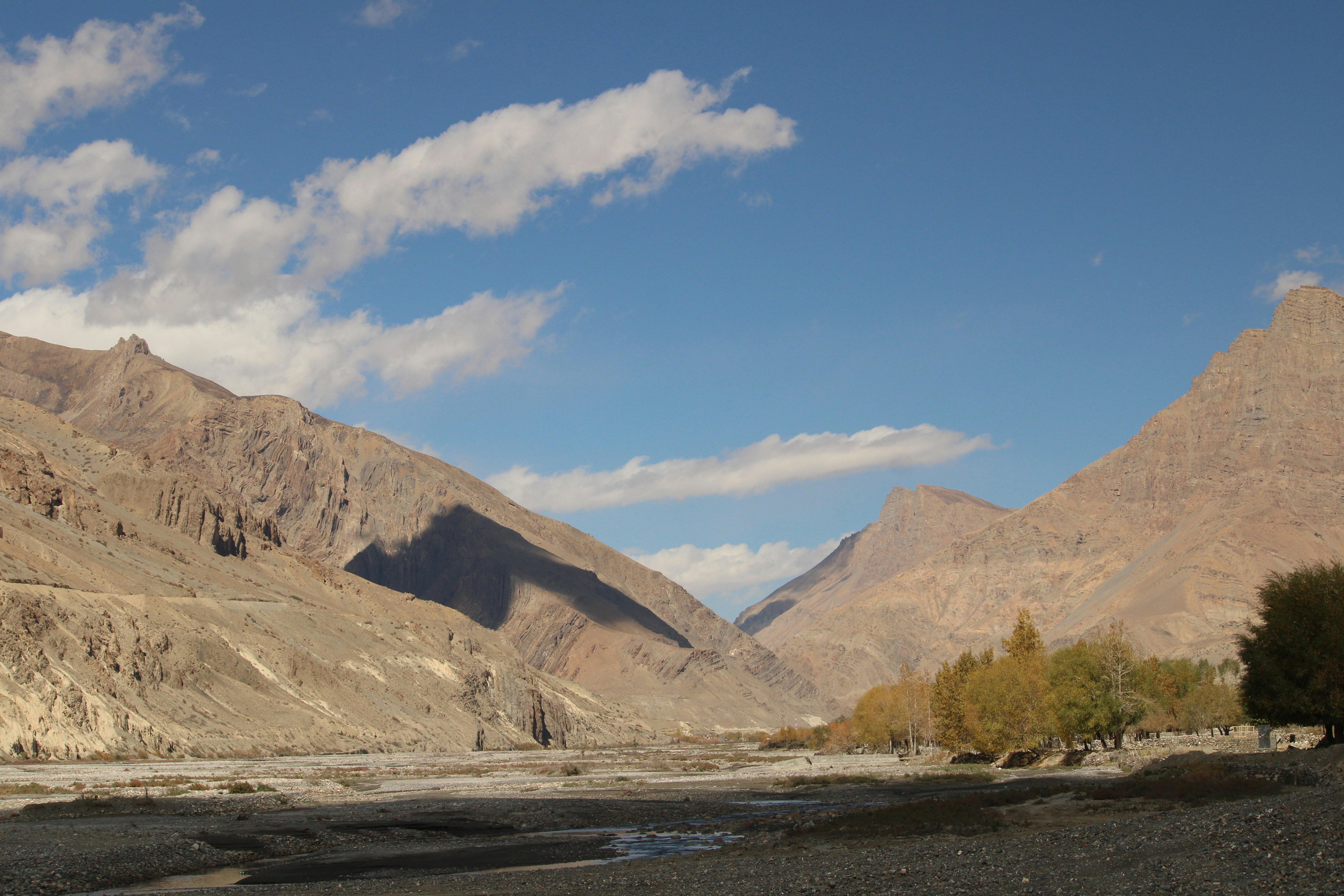 Photo by celestial_medicine