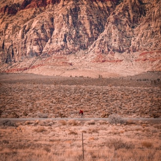 A scenic view of the Sahara desert with a bicycle.