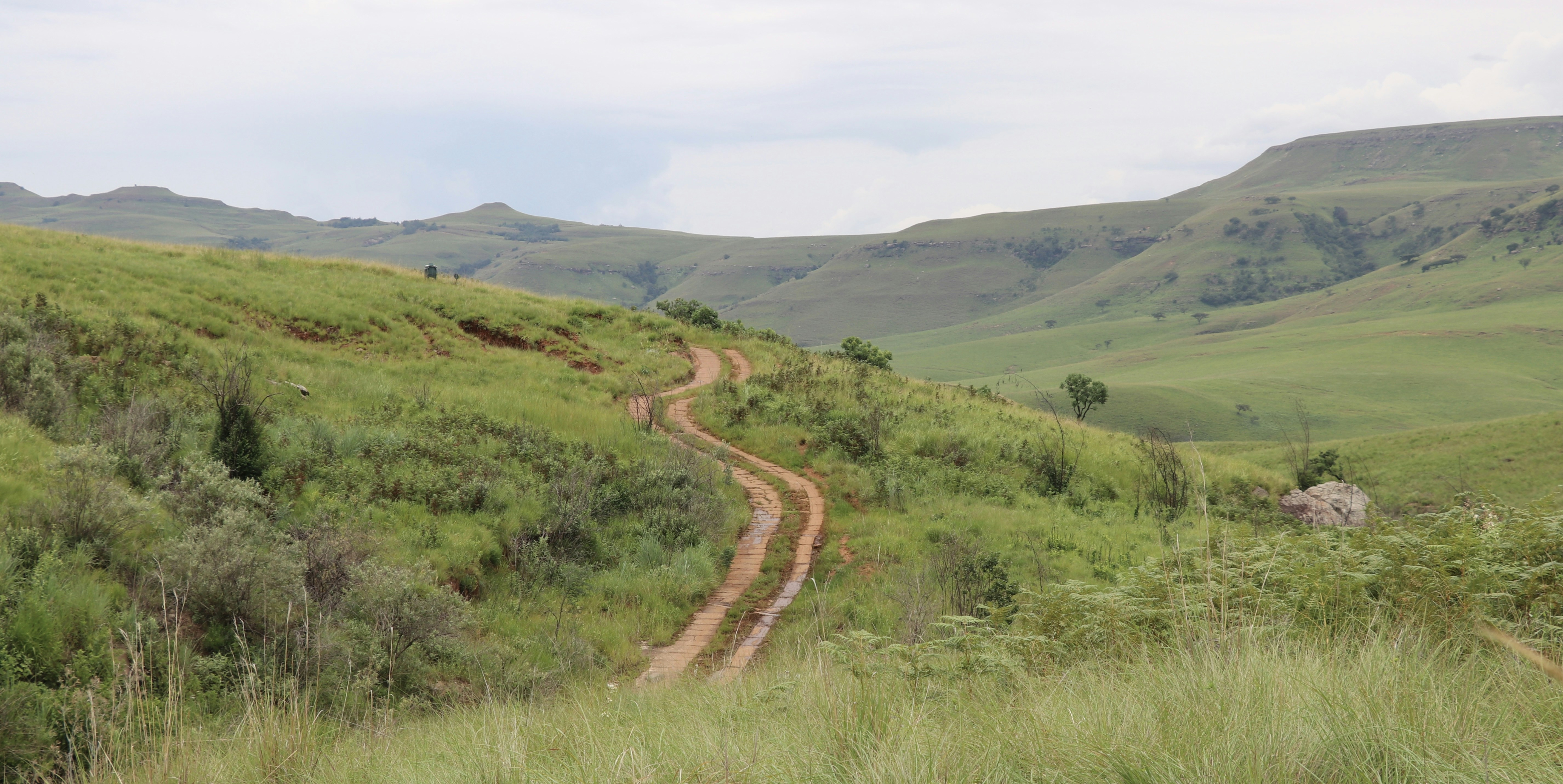 a dirt road in the middle of a lush green hillside