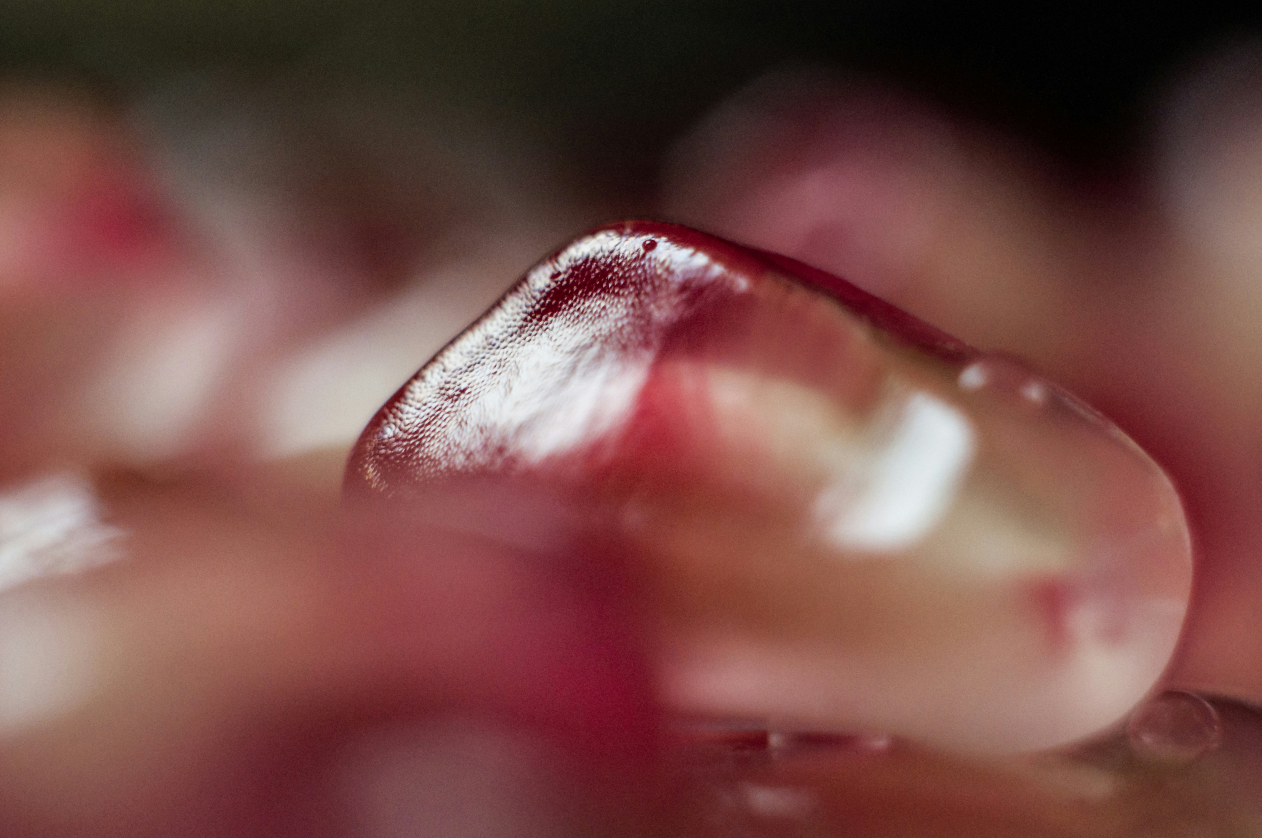 Photo by theaminalizadeh