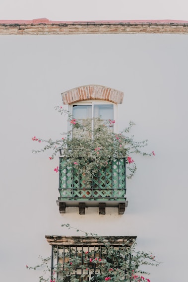 A green balcony adorned with lush climbing plants and pink flowers is attached to a white wall. Above the balcony, there is a window with a brick arch. The exterior design combines rustic and natural elements.