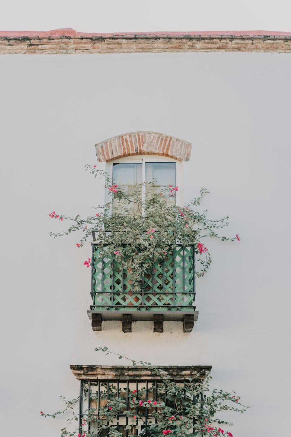 a balcony with a plant growing out of it