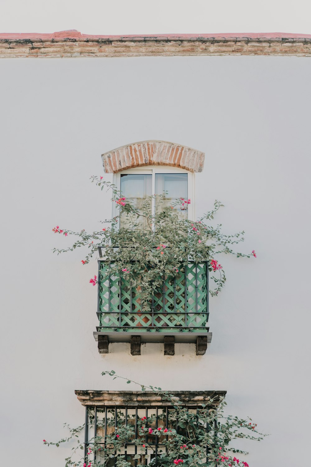 un balcone con una pianta che cresce fuori di esso