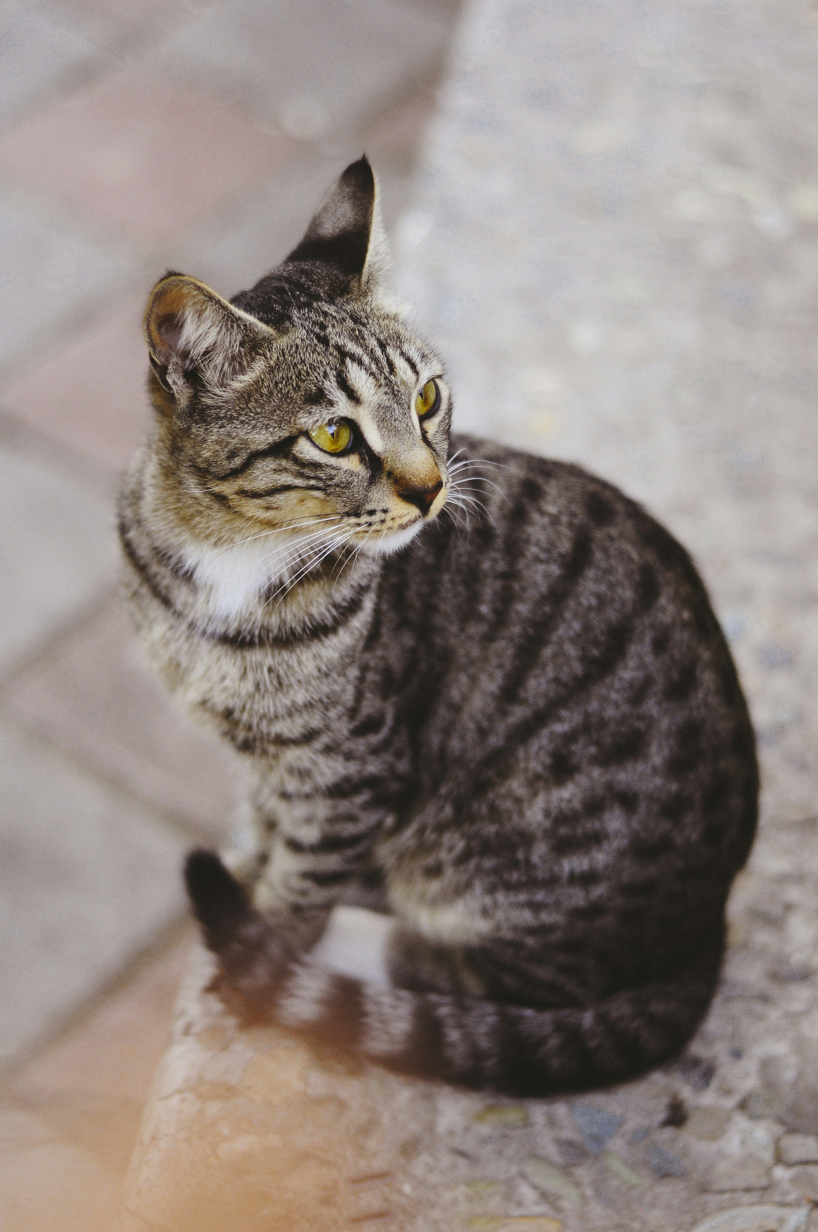 Photo by theaminalizadeh