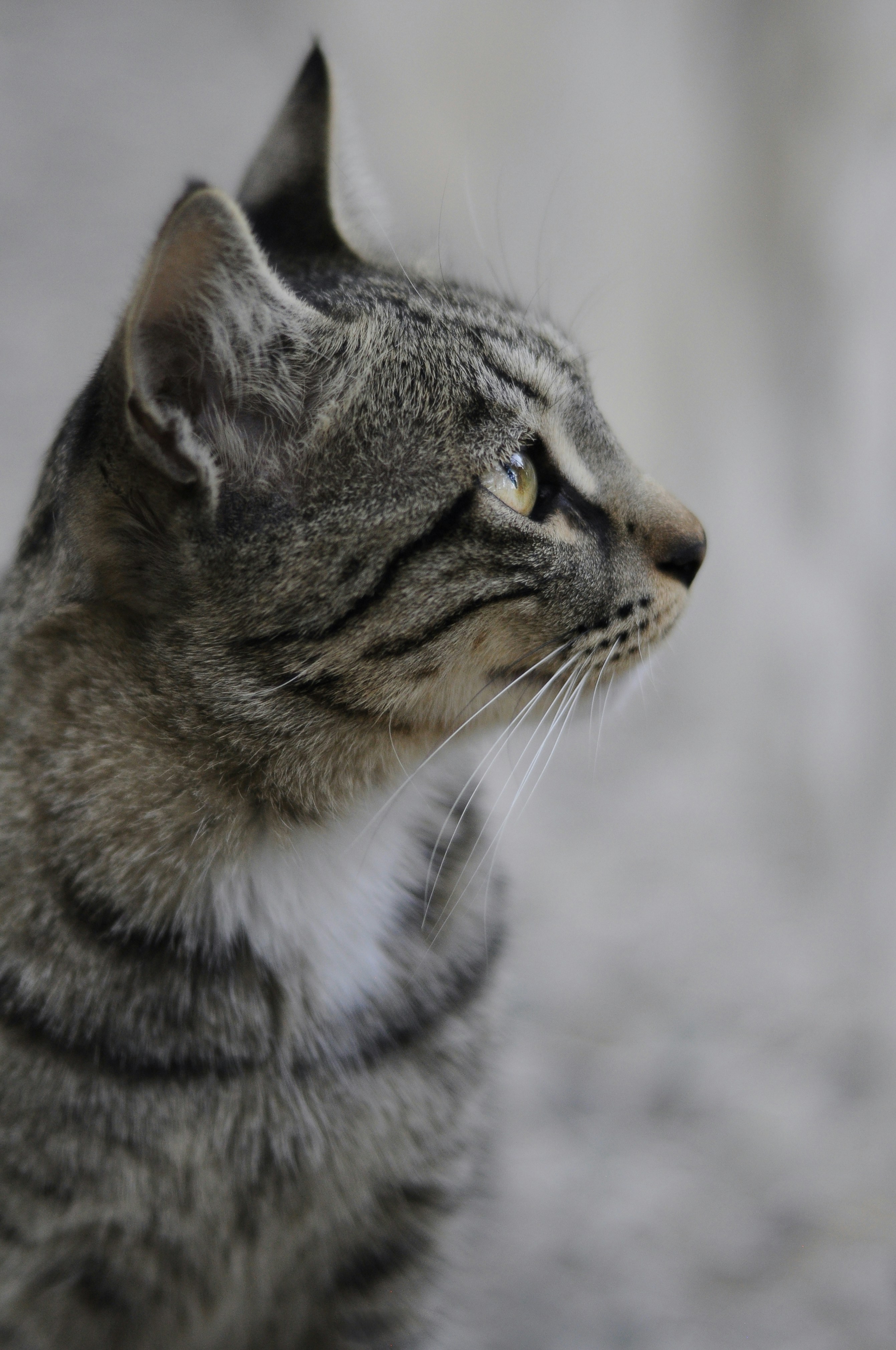 Photo by theaminalizadeh