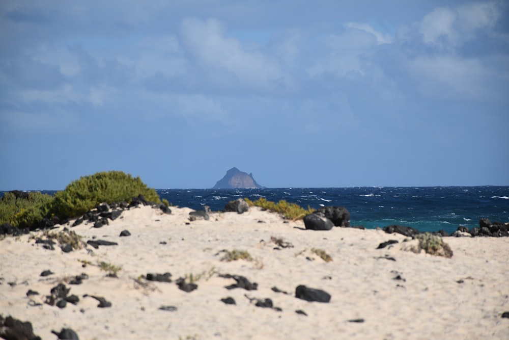 a sandy beach with a small island in the distance