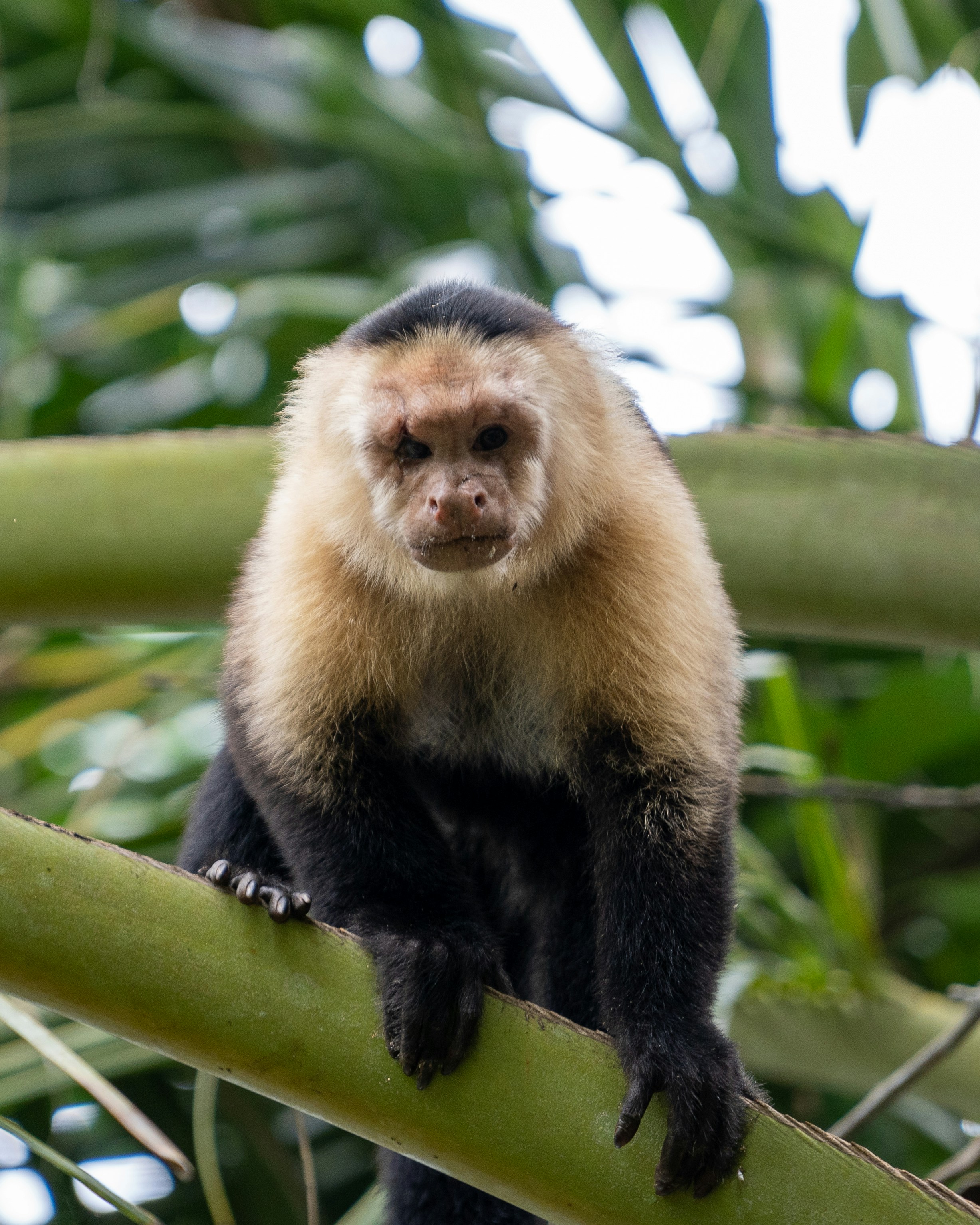 The Intelligence Behind the Service (image credits: unsplash)