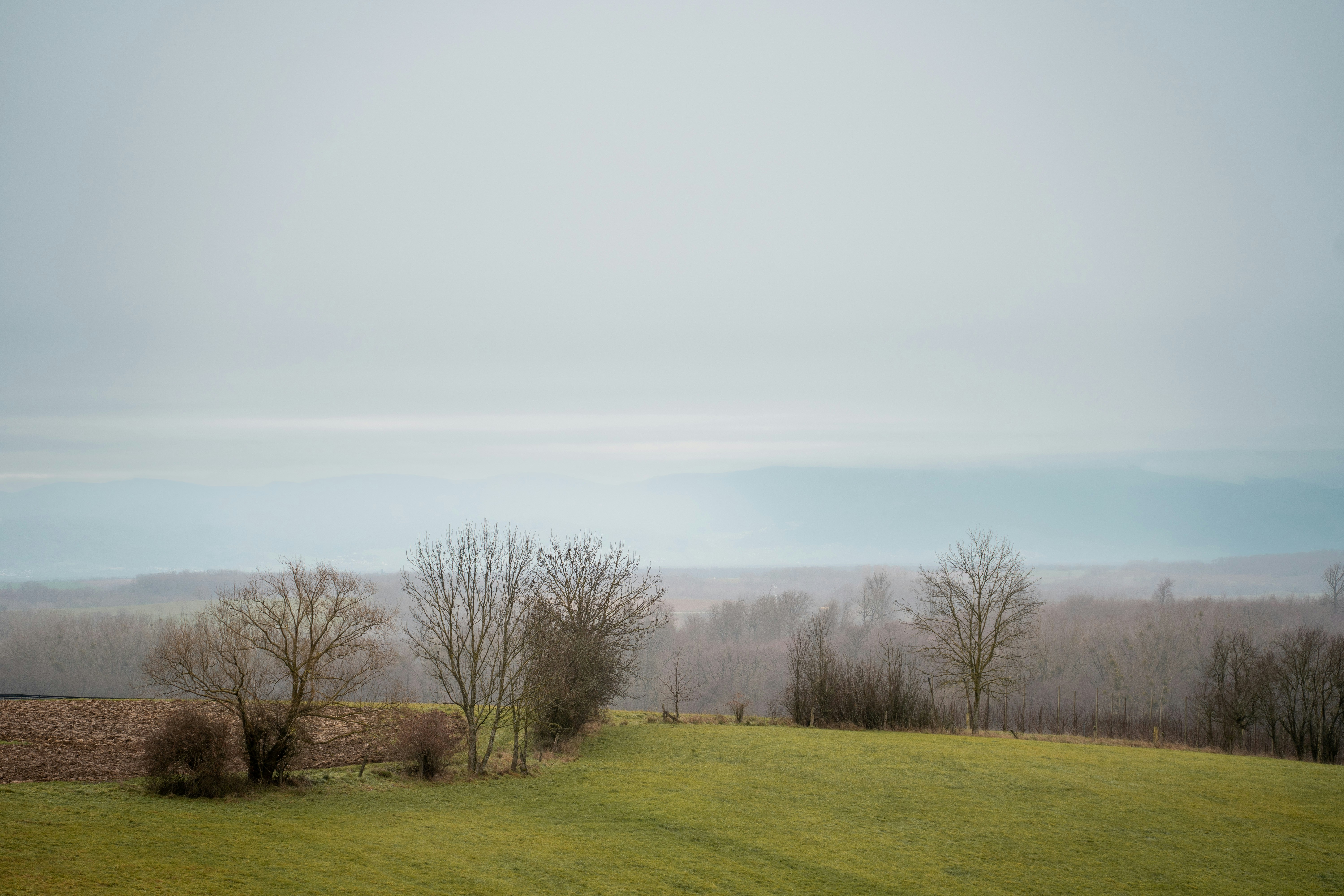 Photo by yaelle_wurster