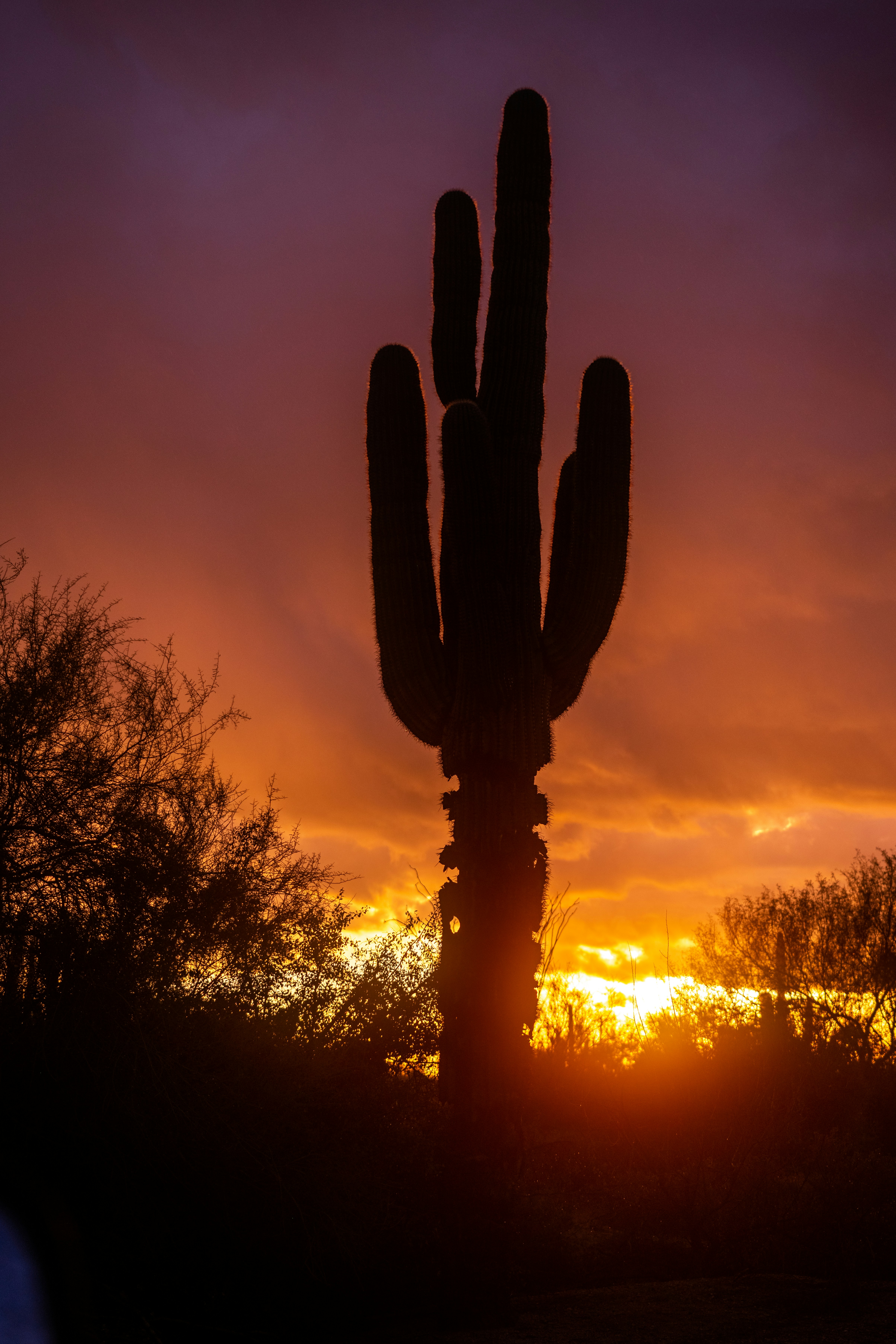 Photo by nicklarovere