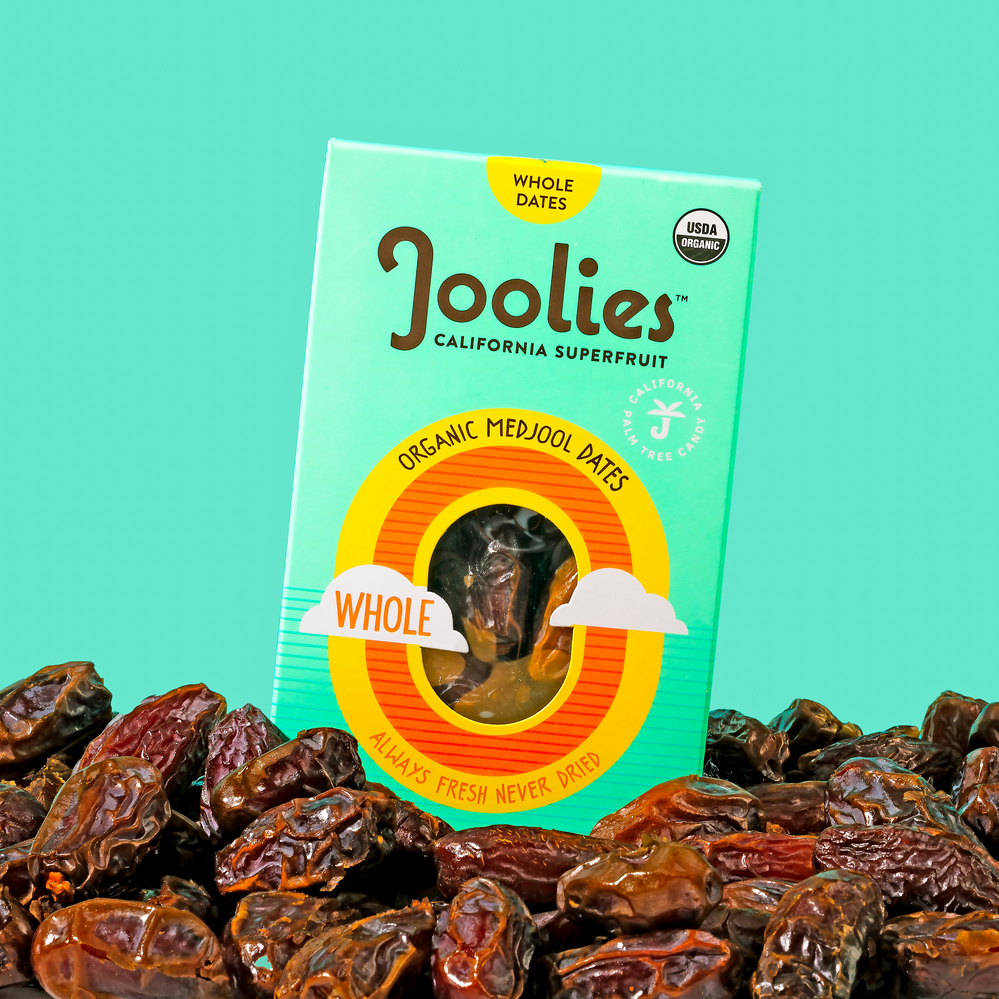 Medjool Dates vs Regular Dates: What Makes Moroccan Medjool Special?