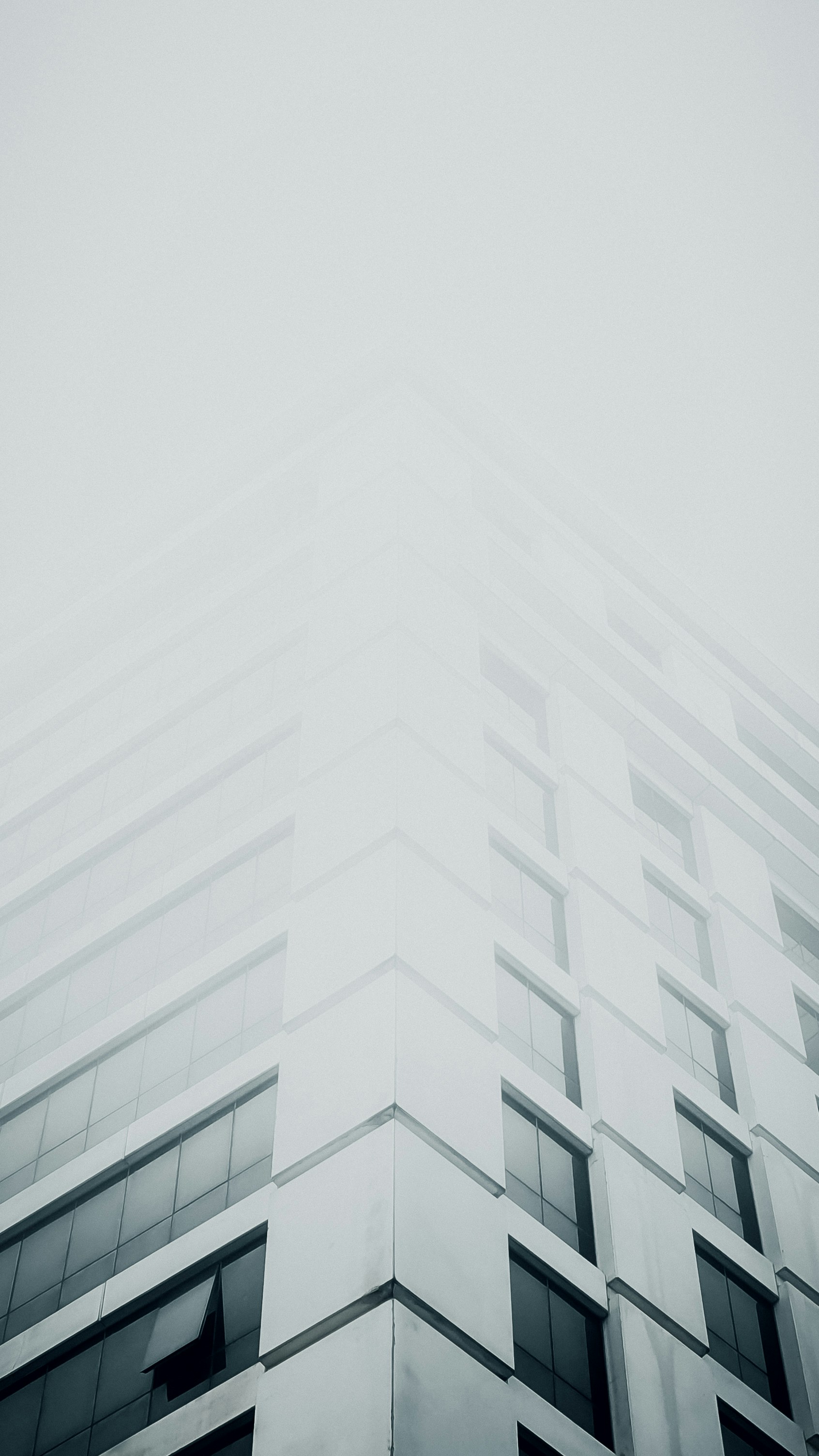 Photo by salahdarwish