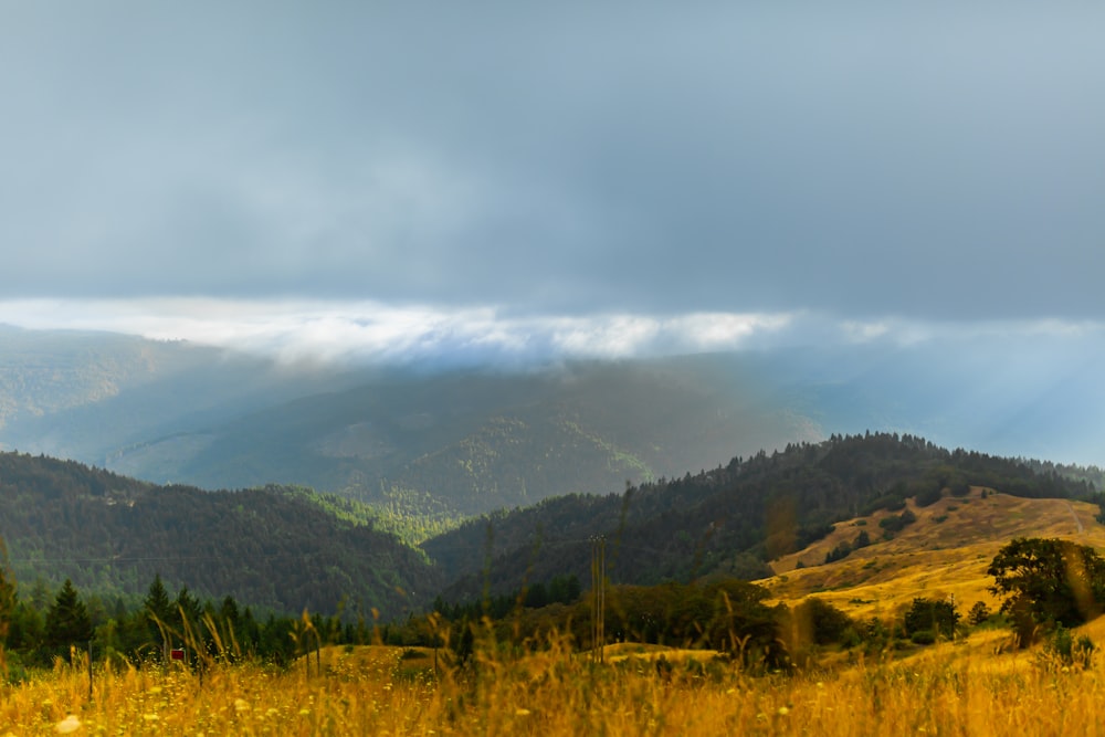 Un campo de hierba con montañas al fondo