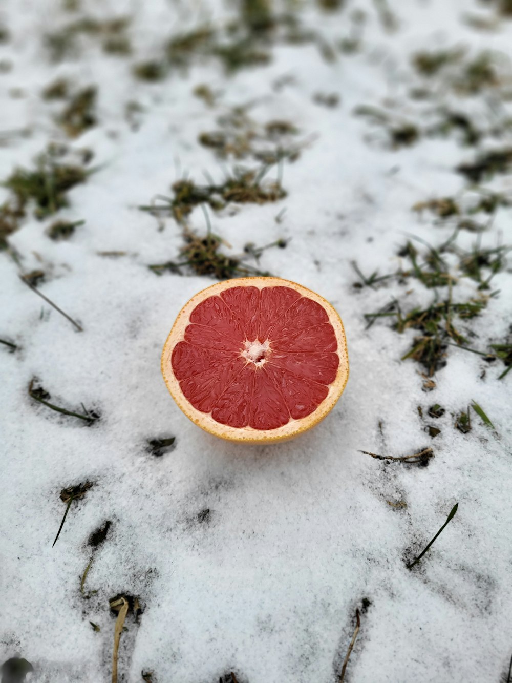 a grapefruit cut in half sitting in the snow