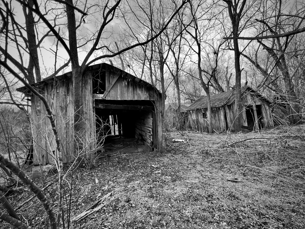 a black and white photo of an old barn in the woods